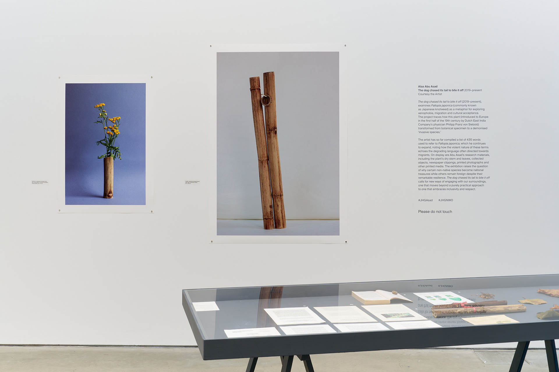 New World Order, exhibition view at John Hansard Gallery in Southampton, Summer Programme 2025.  Photo: Reece Straw