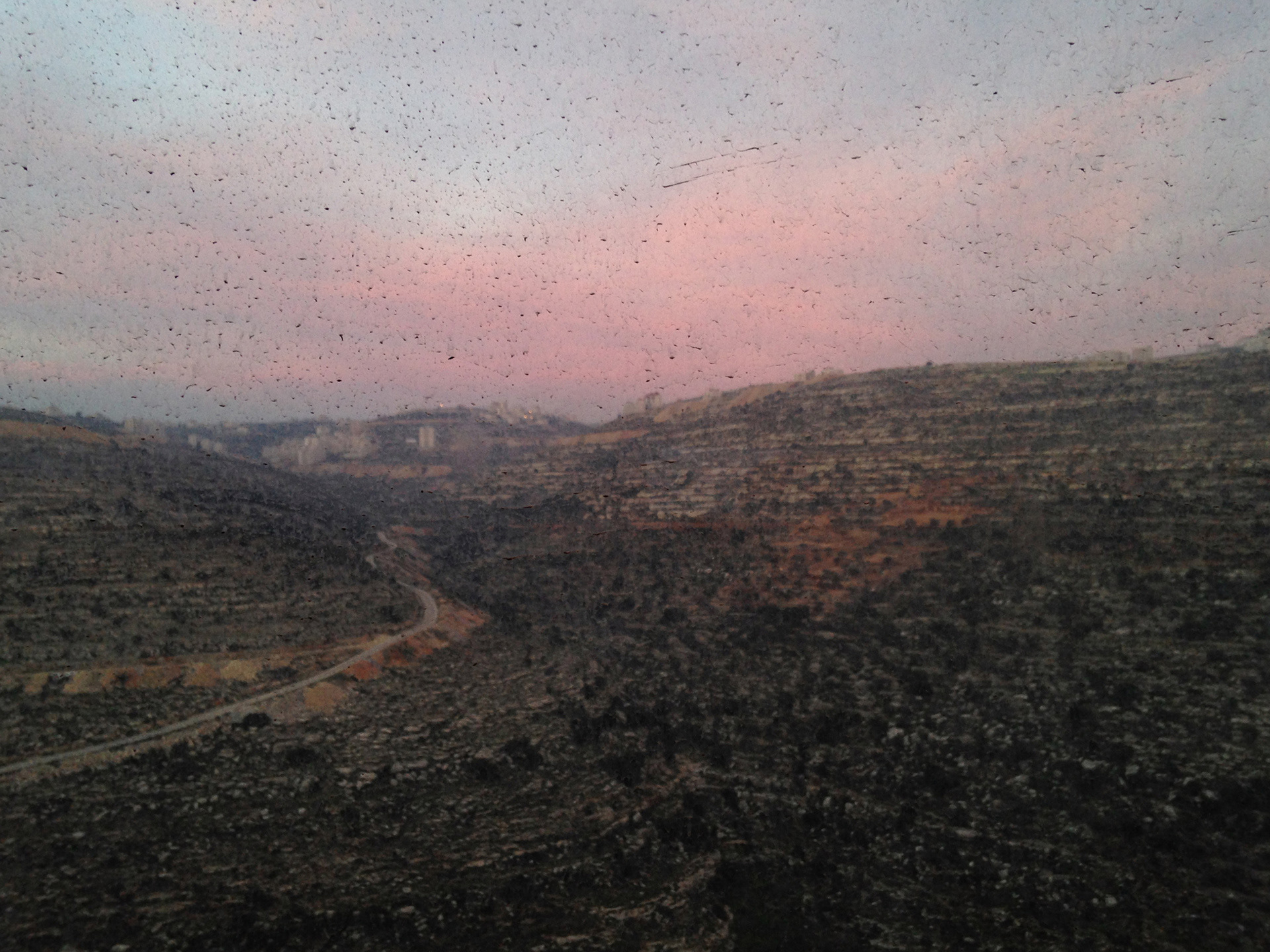 Window view, Tyreh (Ramallah), 2013