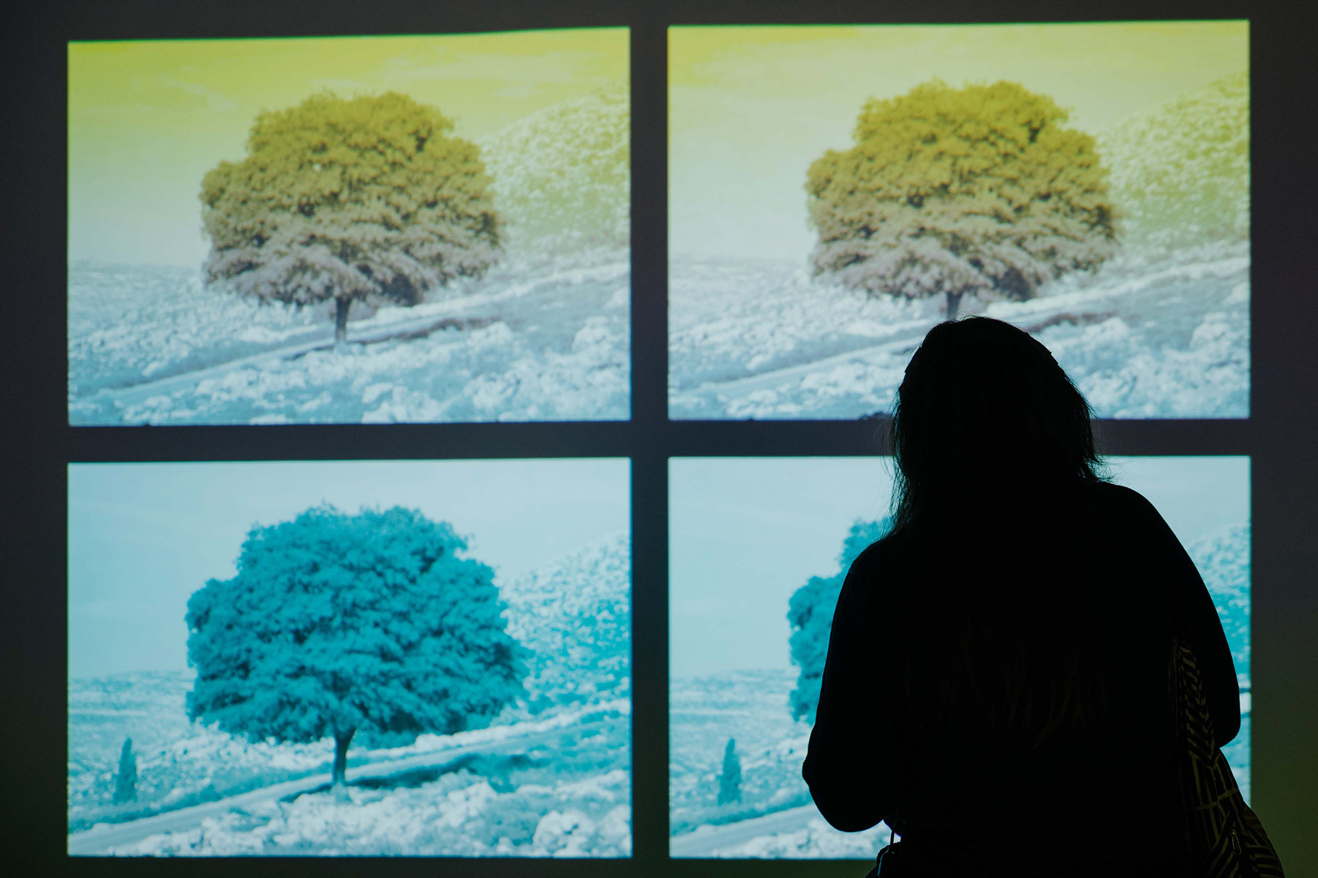 Landscape, disrupted, Concordia, Enschede, 2025. Photo: Mauro Meijer.