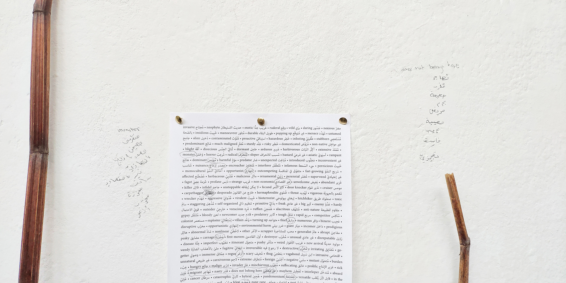 Performance, C. Rockefeller Centre for Contemporary Arts, Dresden, 2021