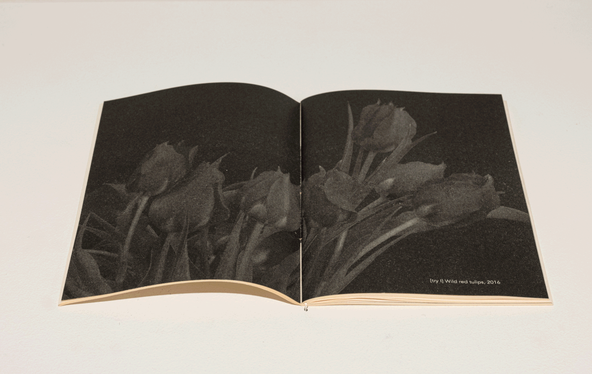 There Is Nothing Solid About Solidarity, curated by MOST Magazine (Ewa Borysiewicz, Vera Zalutskaya, Katie Zazenski) & Yulia Krivich. Photos: Christine Clinckx, courtesy of M HKA, Antwerp, 2025