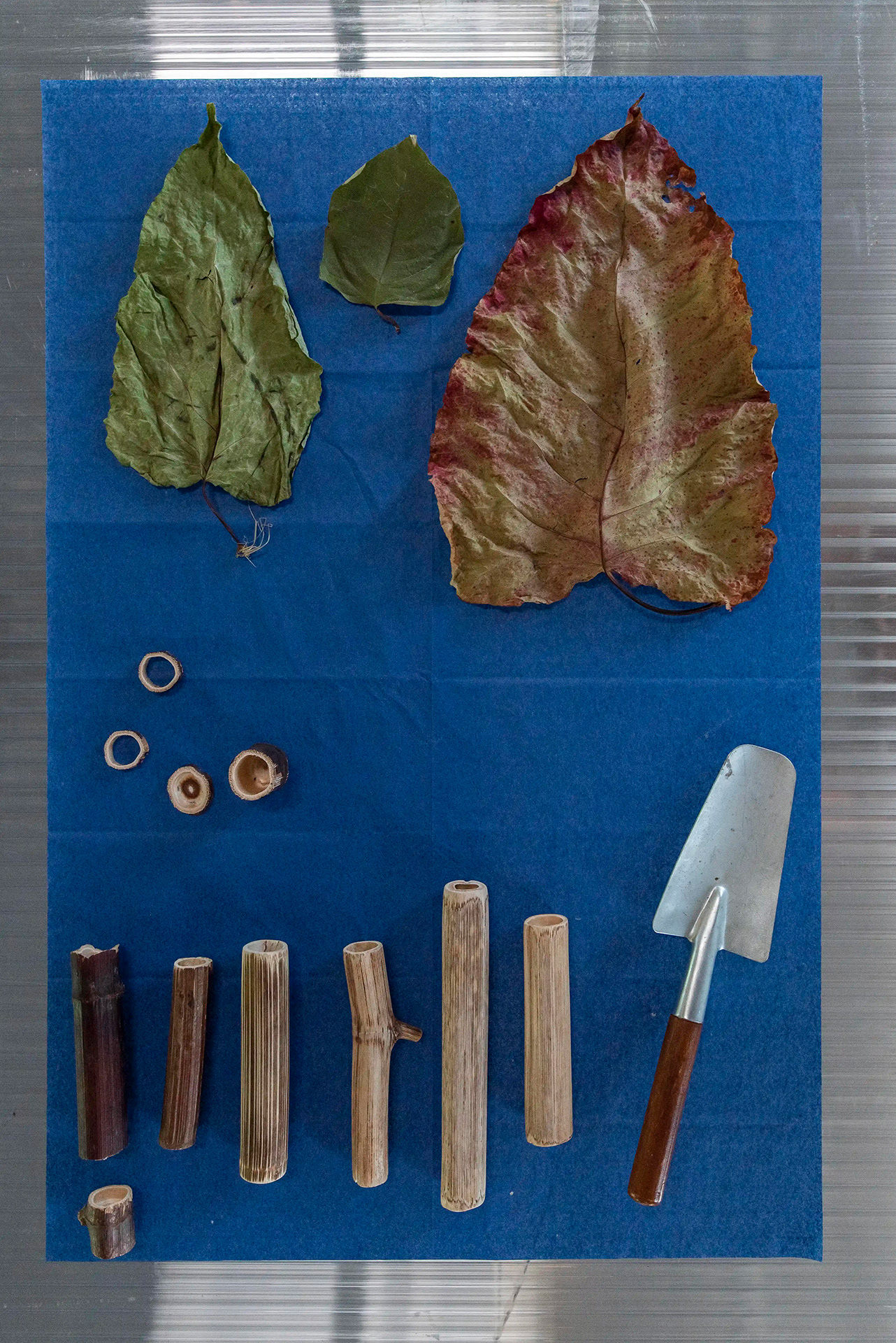 Japanese knotweed dry leaves, knots and sticks; and a shovel, Kunstfort bij Vijfhuizen, 2023. Photo: Thaddeus Photography