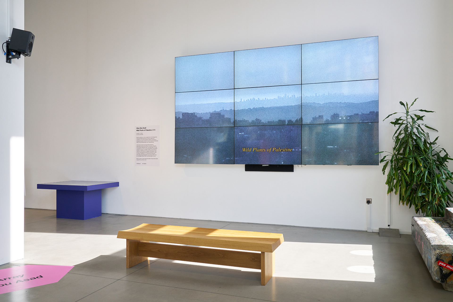 New World Order, exhibition view at John Hansard Gallery in Southampton, Summer Programme 2025. Photo: Reece Straw