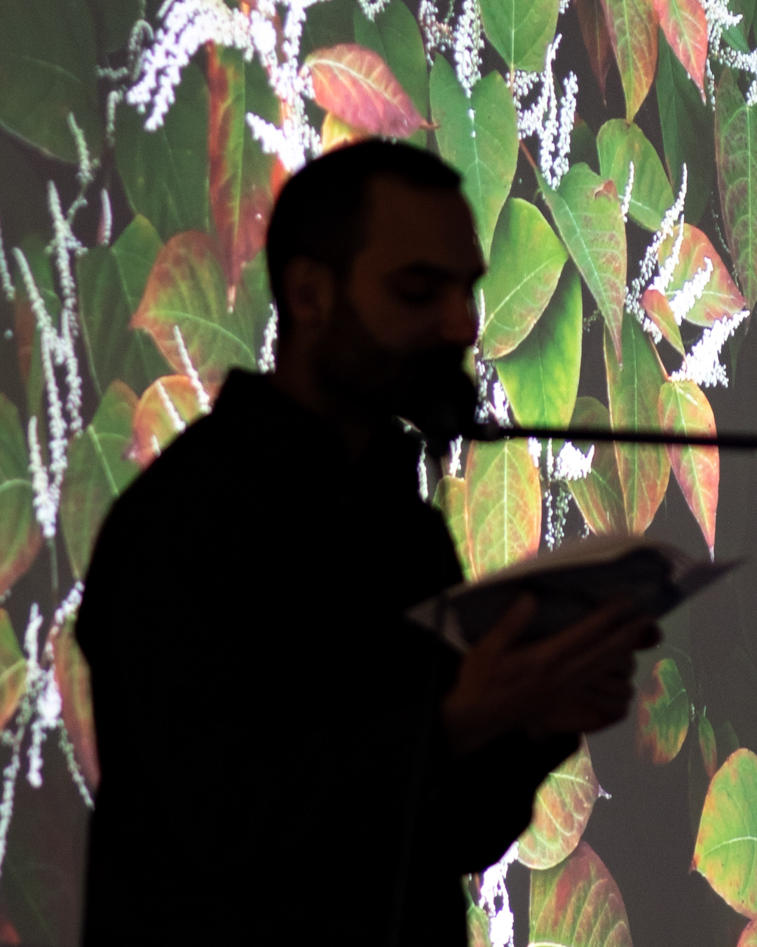 [6] ‘yellow brick, blue brick, perpetually, a group exhibition curated by Sjoerd Beijers . B32 Maastricht, 2024. Photo: Johan Poezevara