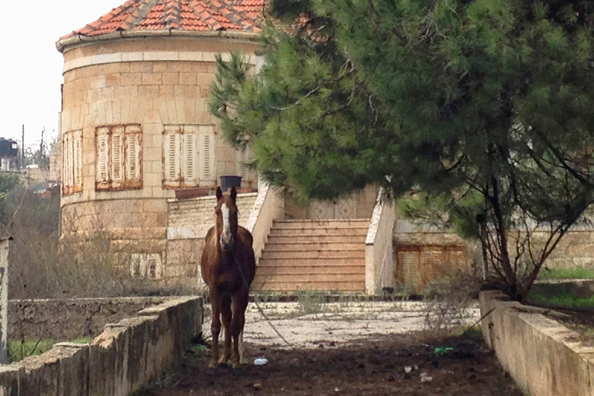 Downtown Ramallah, 2015