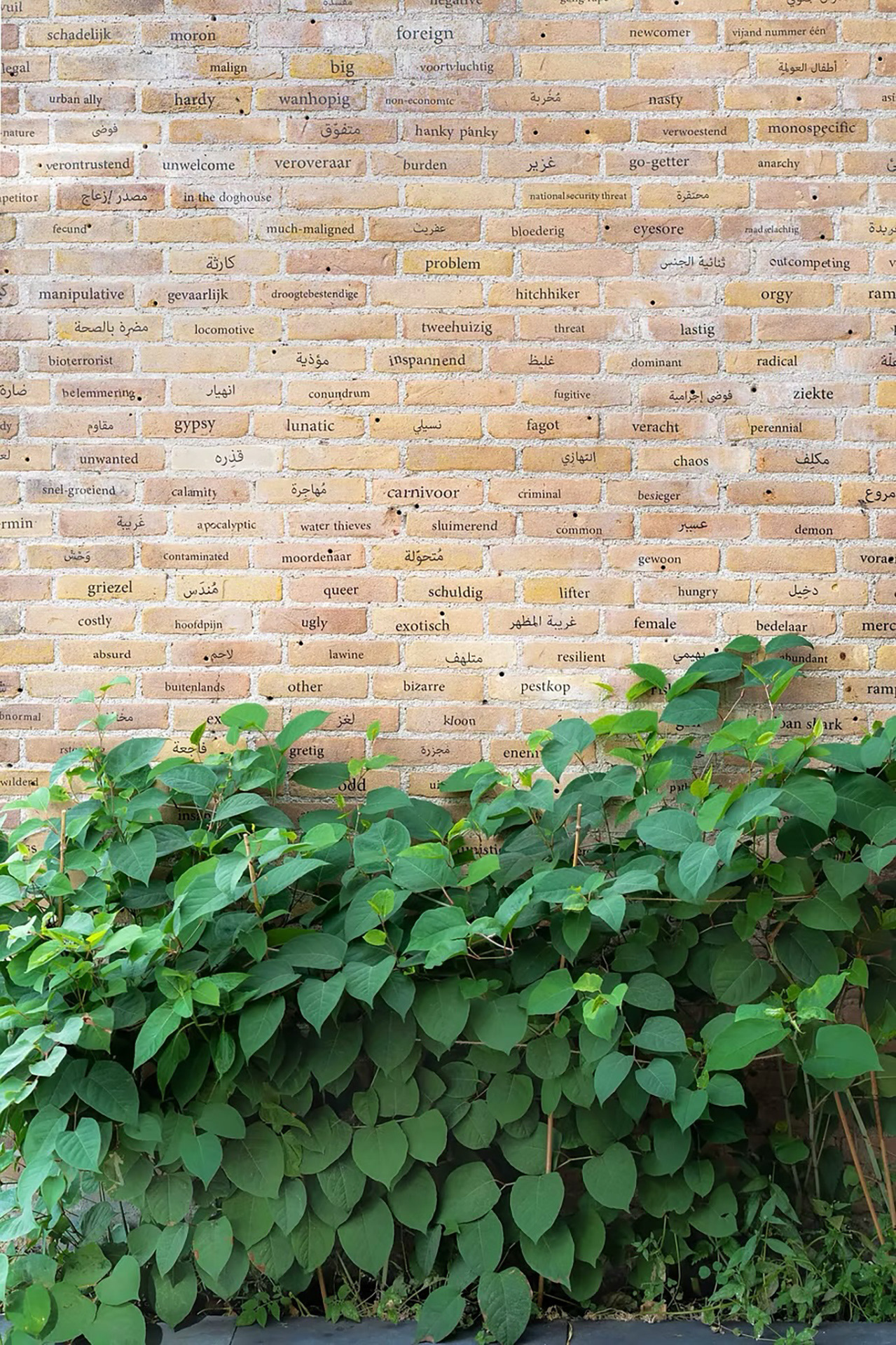 Installation view, Mediamatic, Amsterdam, 2023