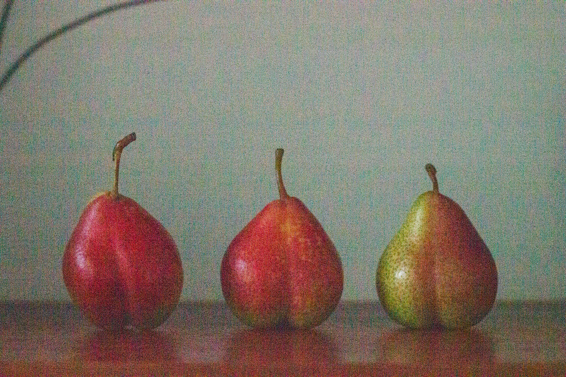 Summer pears, Rotterdam, 2020