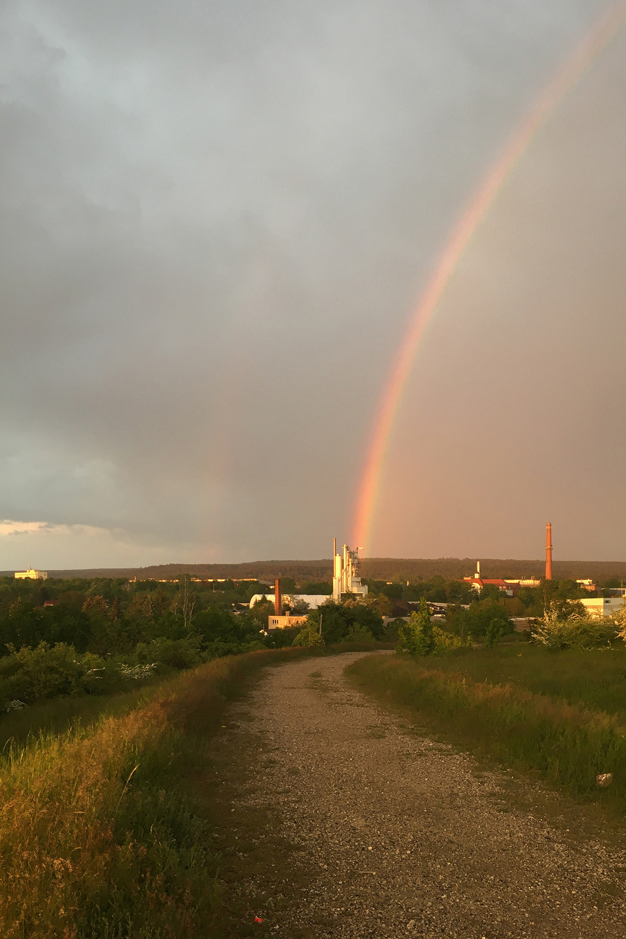 Rainbow in Dresden, 2021