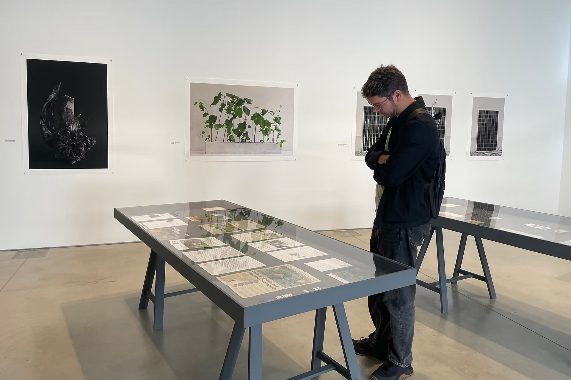 New World Order, exhibition view at John Hansard Gallery in Southampton, Summer Programme 2025