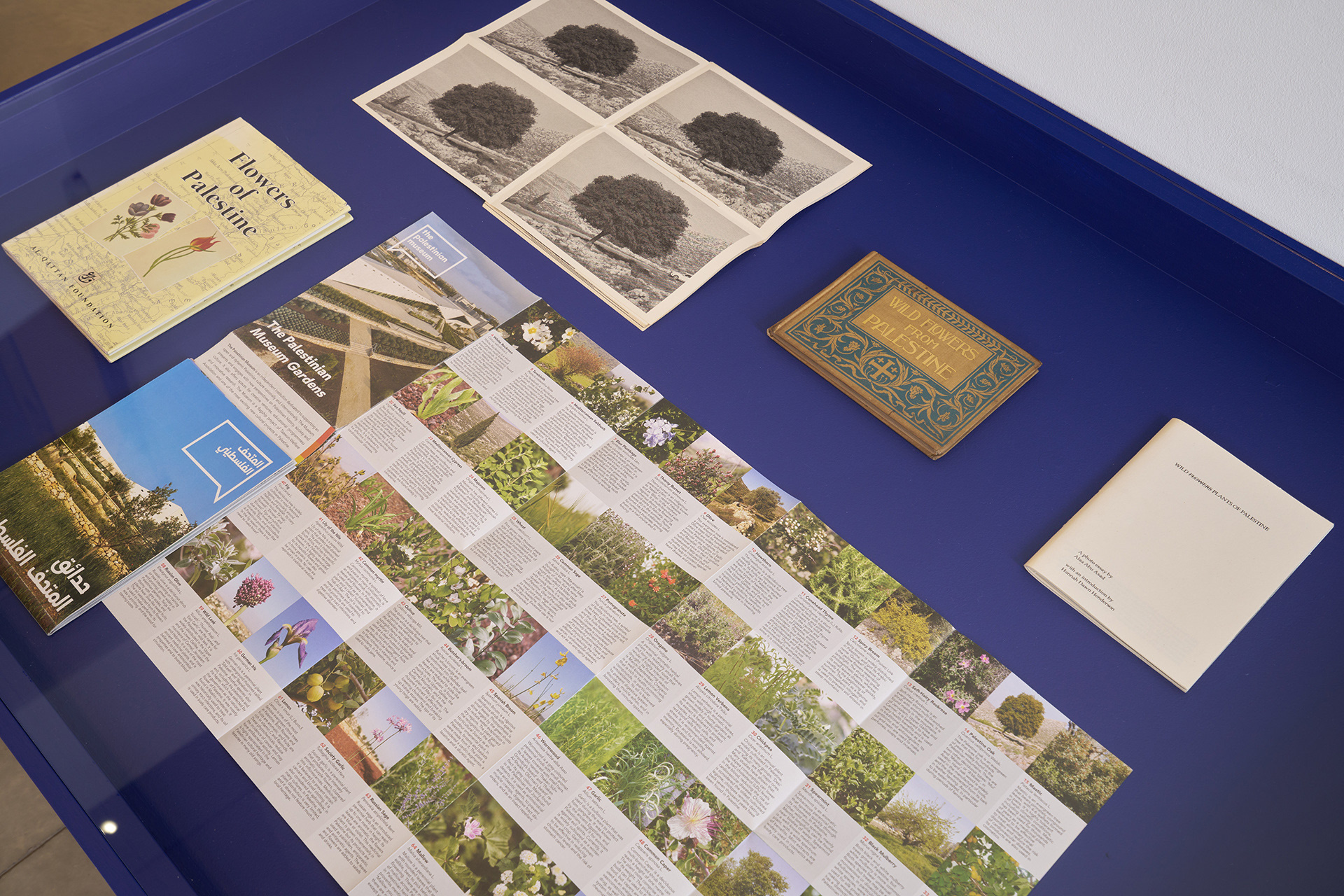 New World Order, exhibition view at John Hansard Gallery in Southampton, Summer Programme 2025. Photo: Reece Straw