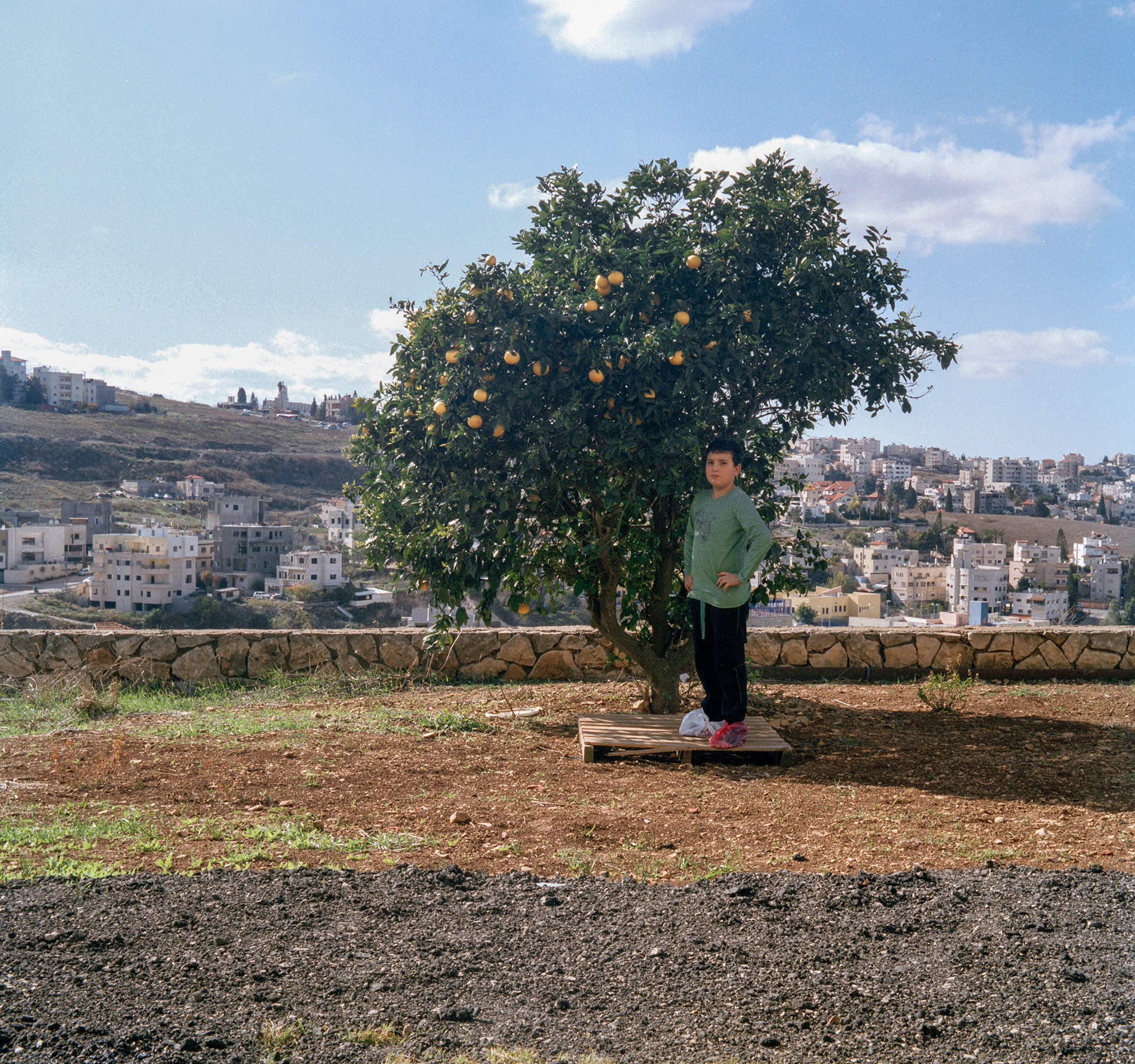 Boy under grapefruit tree in winter, Nazareth, 2011