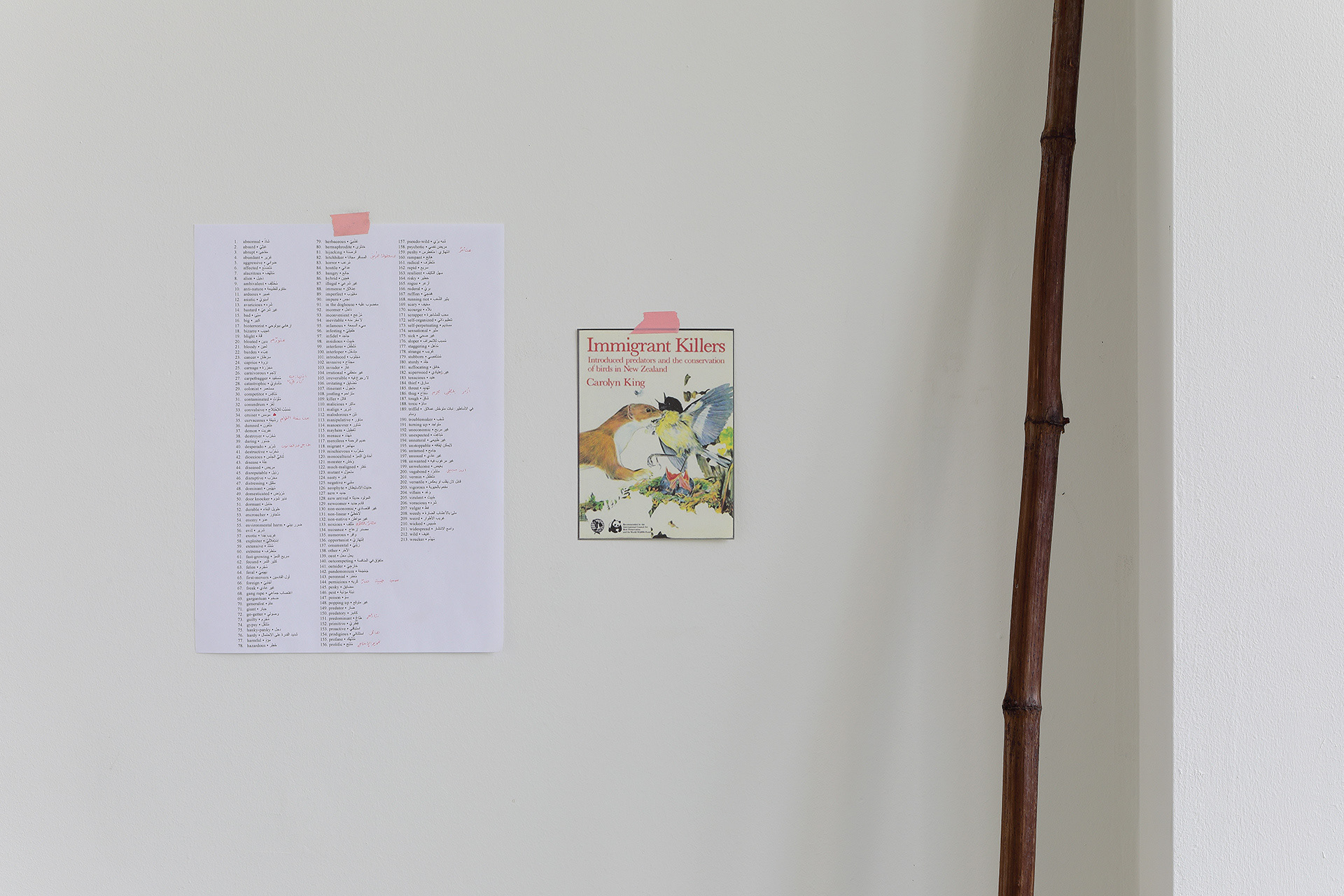 Installation detail: research terms translated into Arabic, digital image of a book cover, and a Japanese knotweed dry stem. Photo: Romy Finke (Van Eyck Academy) 2020