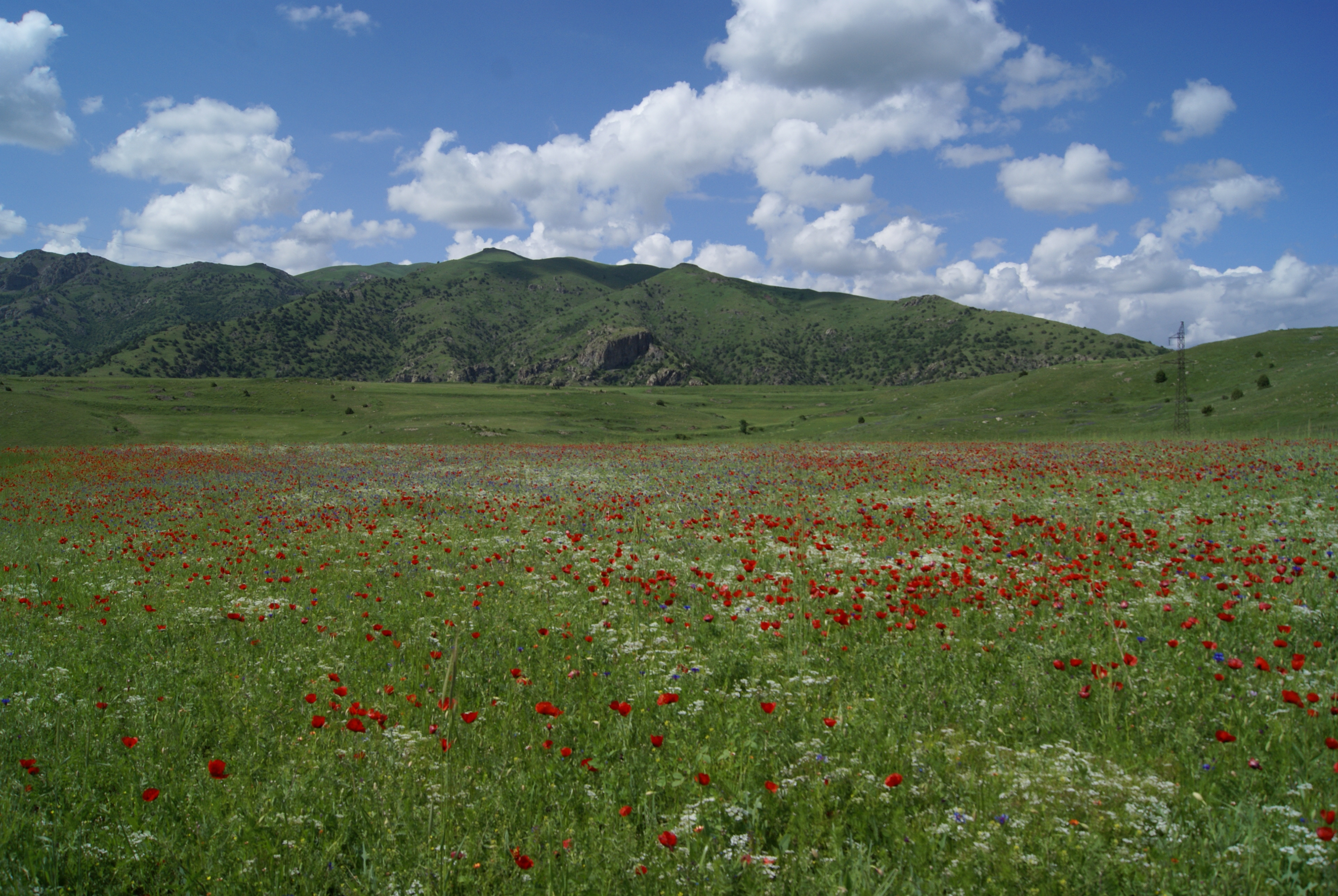 field © Armenian Travel Bureau
