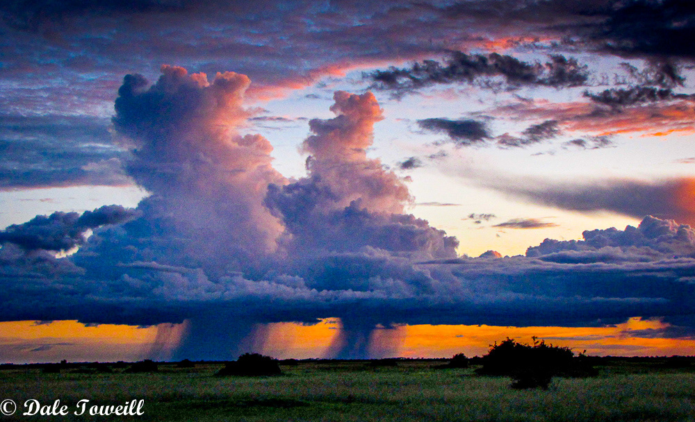 Rain is coming! - Okavango Delta, Botswana