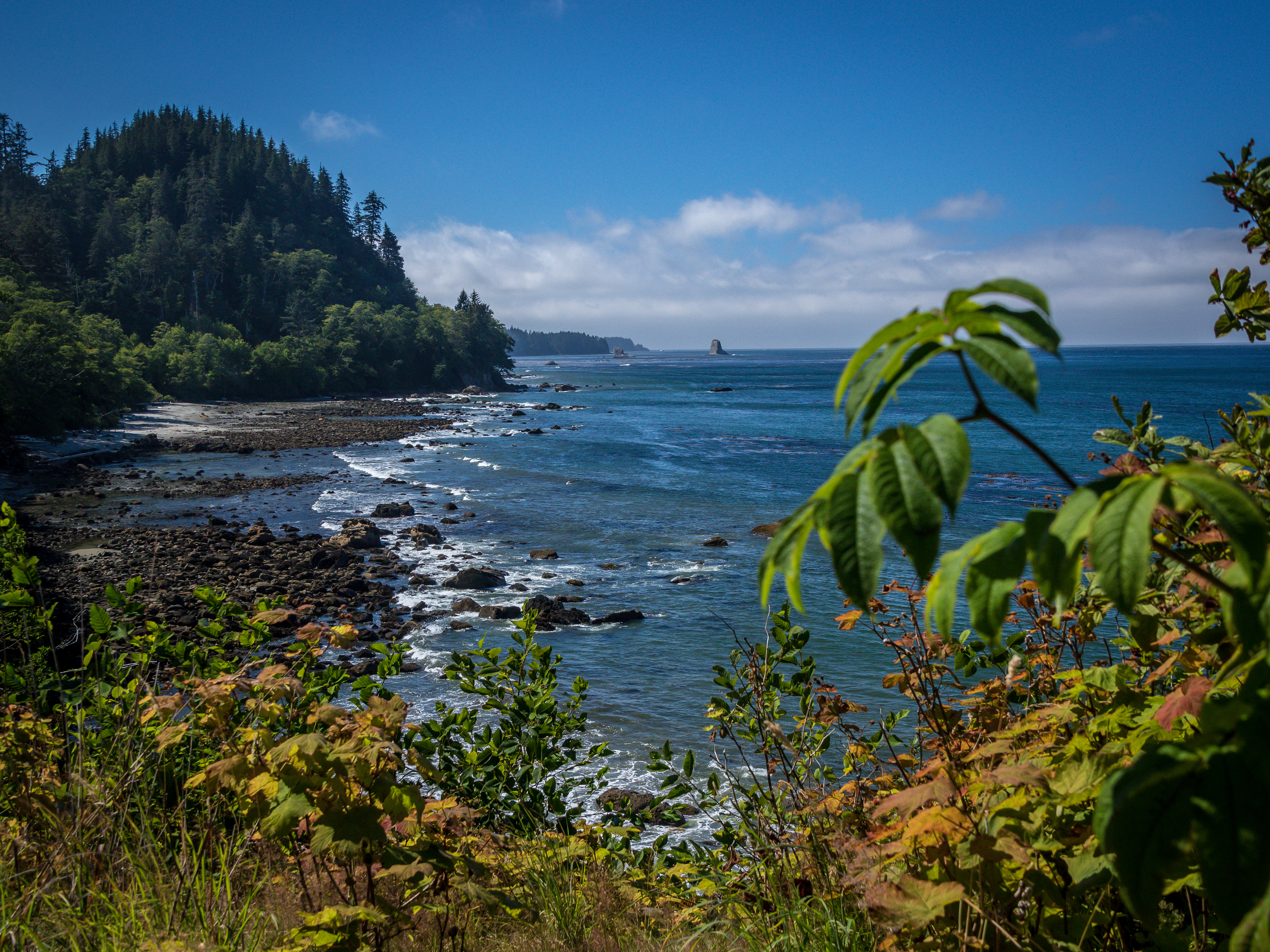 Coastline - Olympic NP, Washington