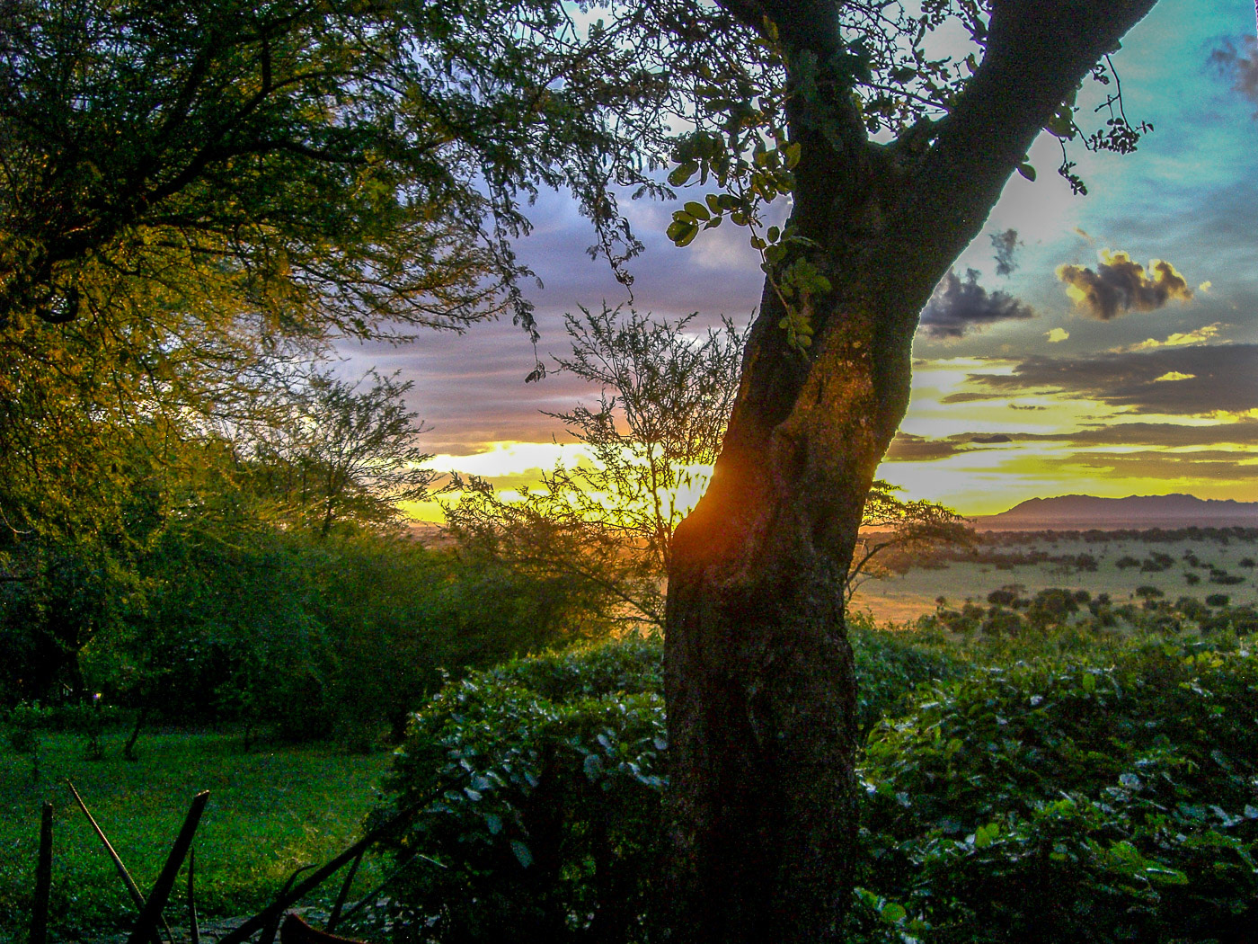 African sunset