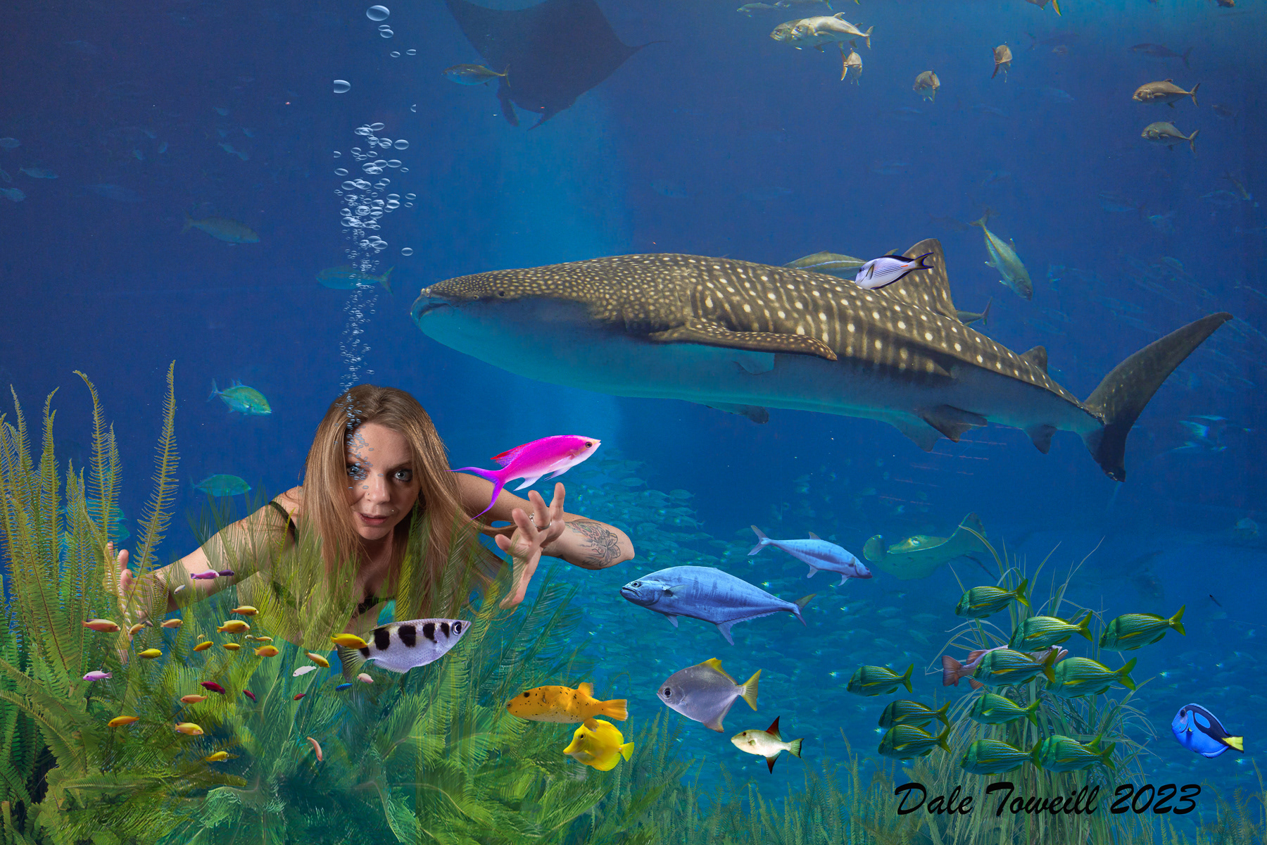 Underwater Garden