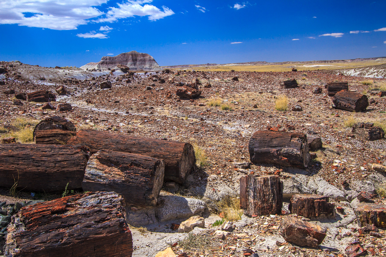 Petrified Forst NP - Arizona, USA