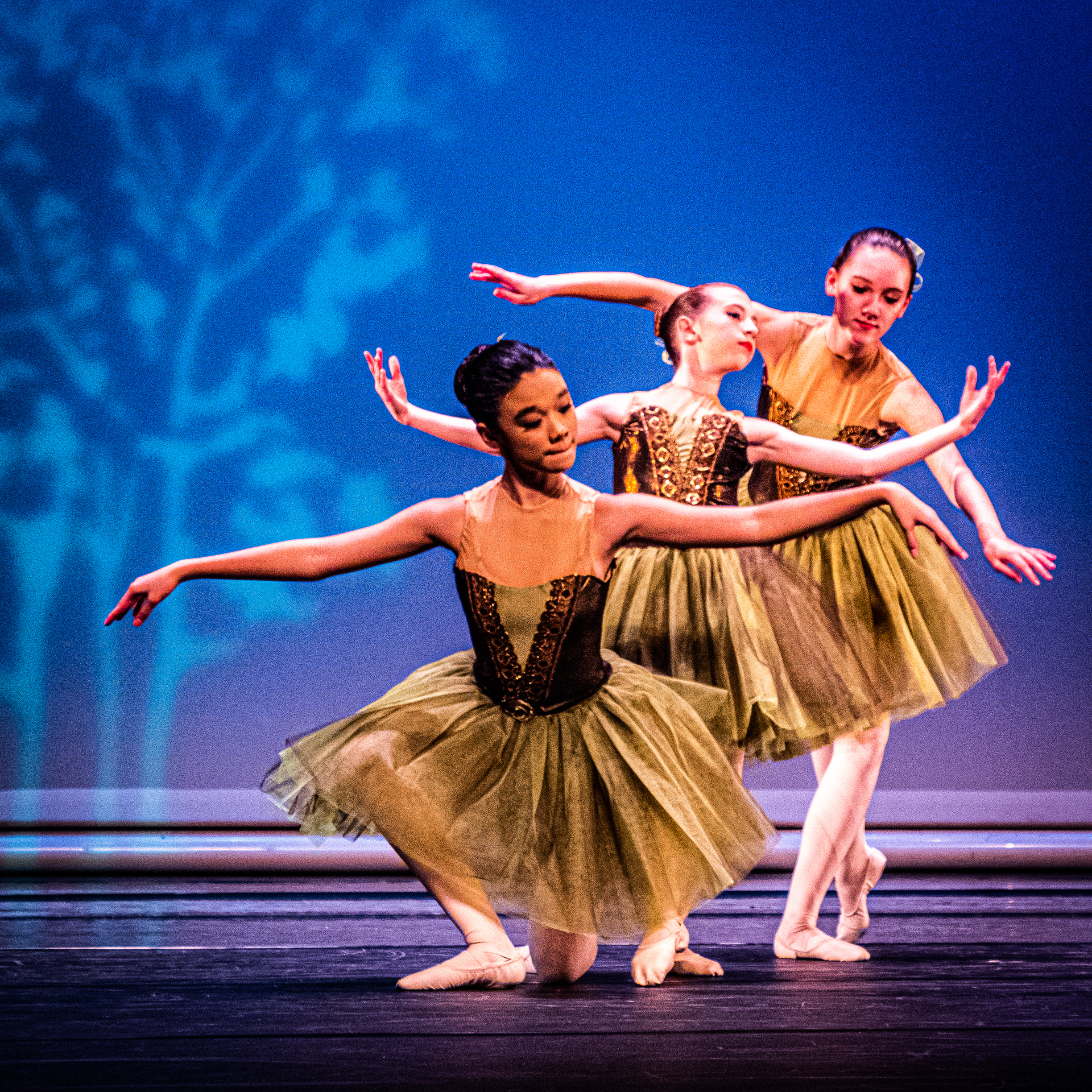 Capital City Ballet
