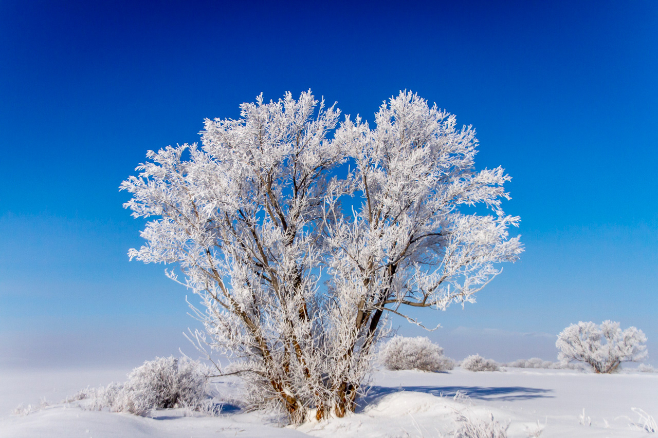 Idaho winter