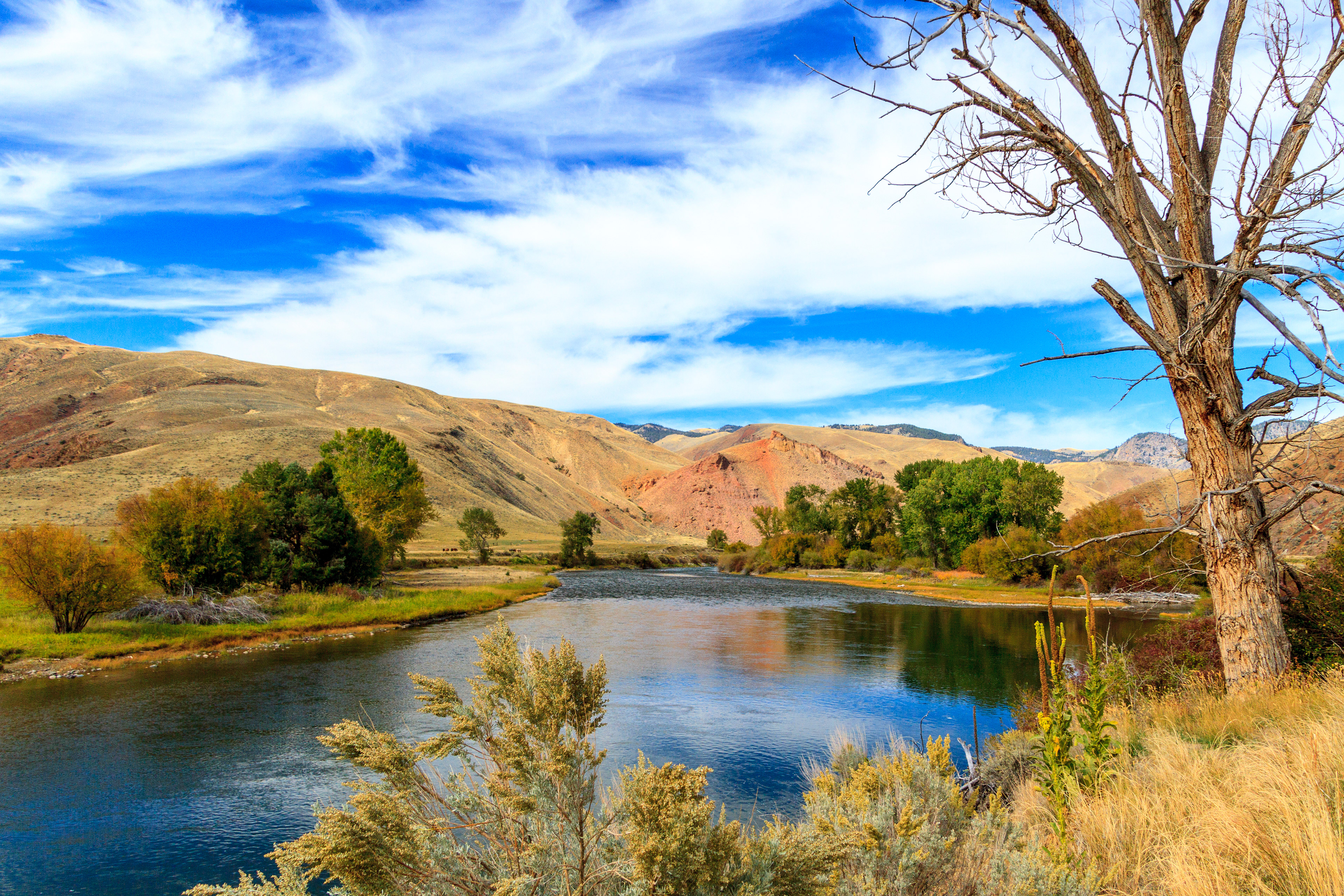 Snake River - Idaho