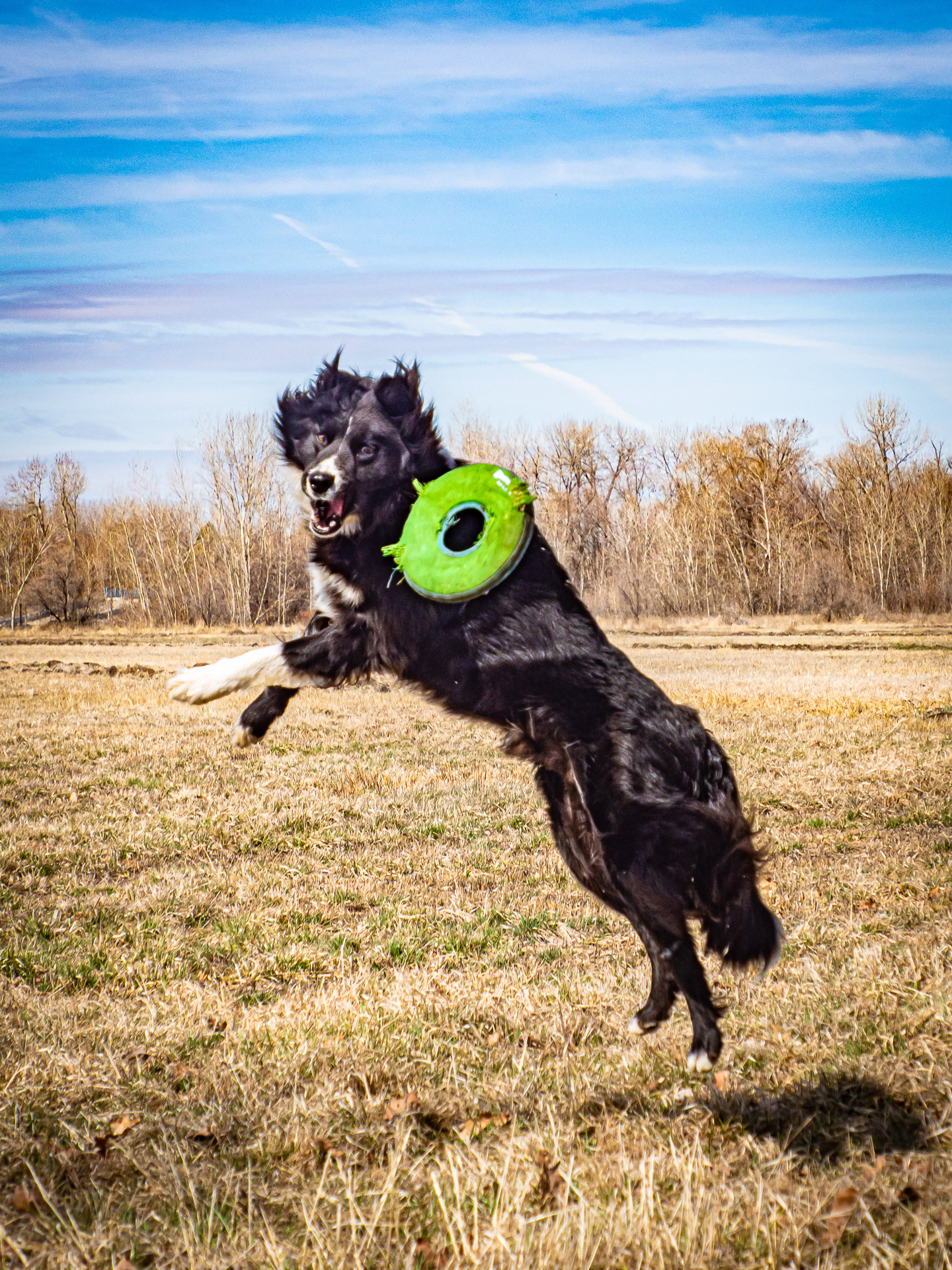 Danny loves to fly!