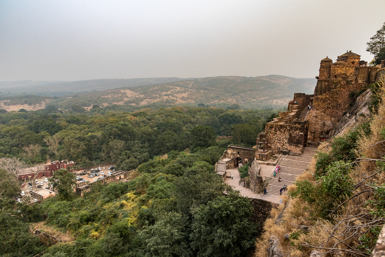 Ranthambhore NP - India