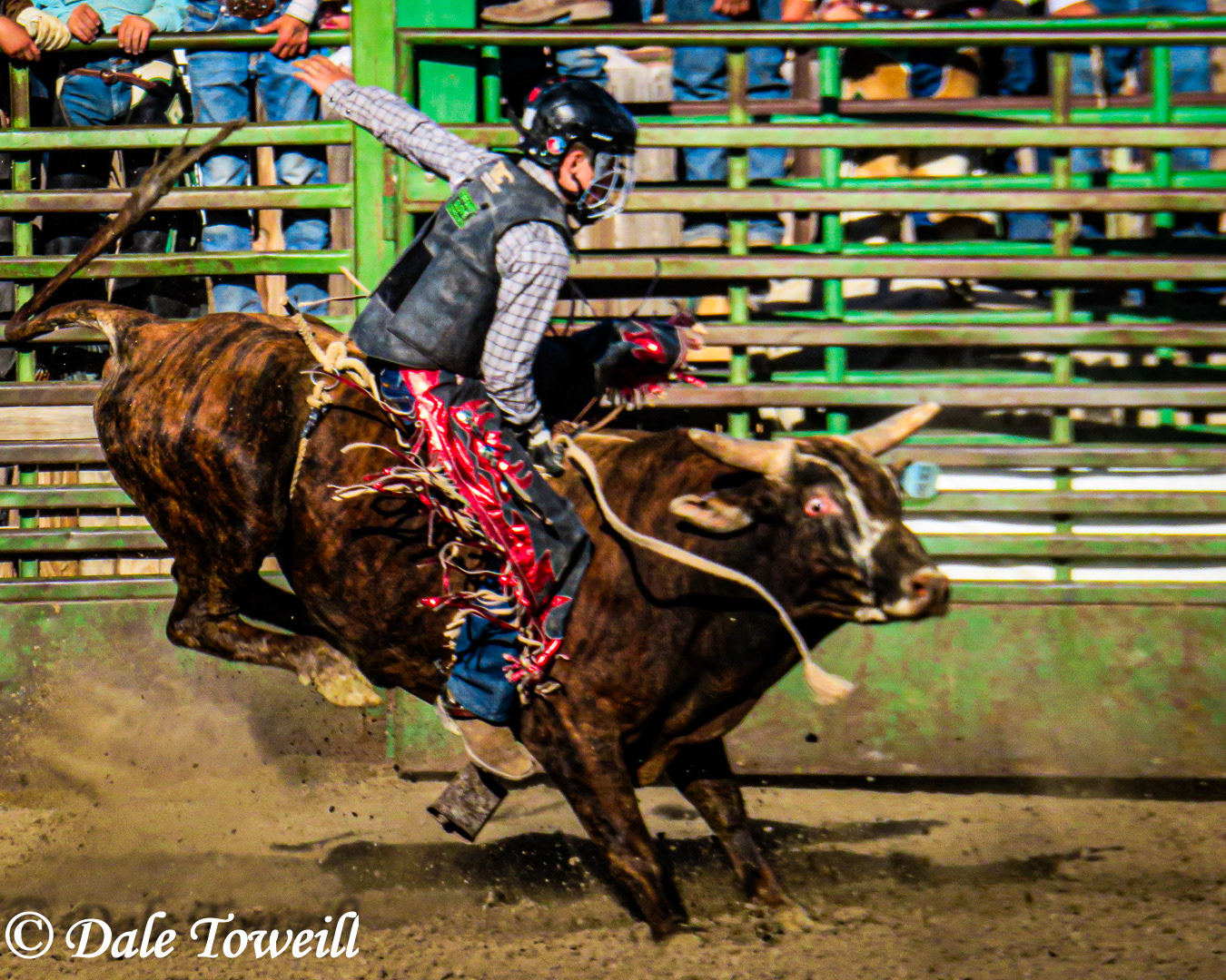 Nyssa Nite Rodeo, Nyssa, Oregon
