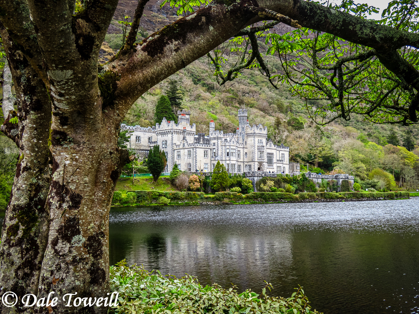 Abbey, Ireland