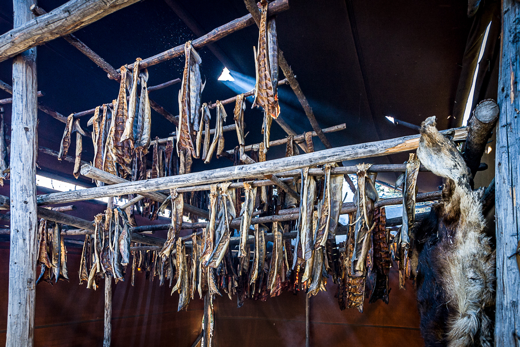 Codfish drying racks - Alaska