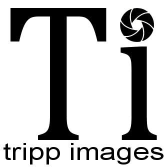 Jon Tripp