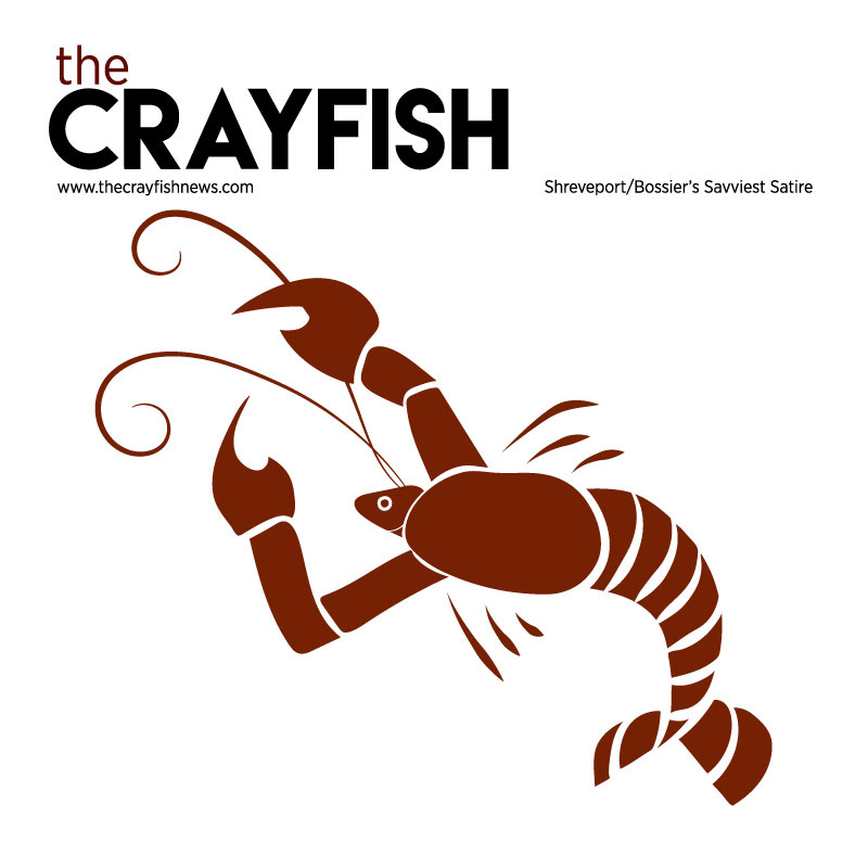 Website Logo Concept