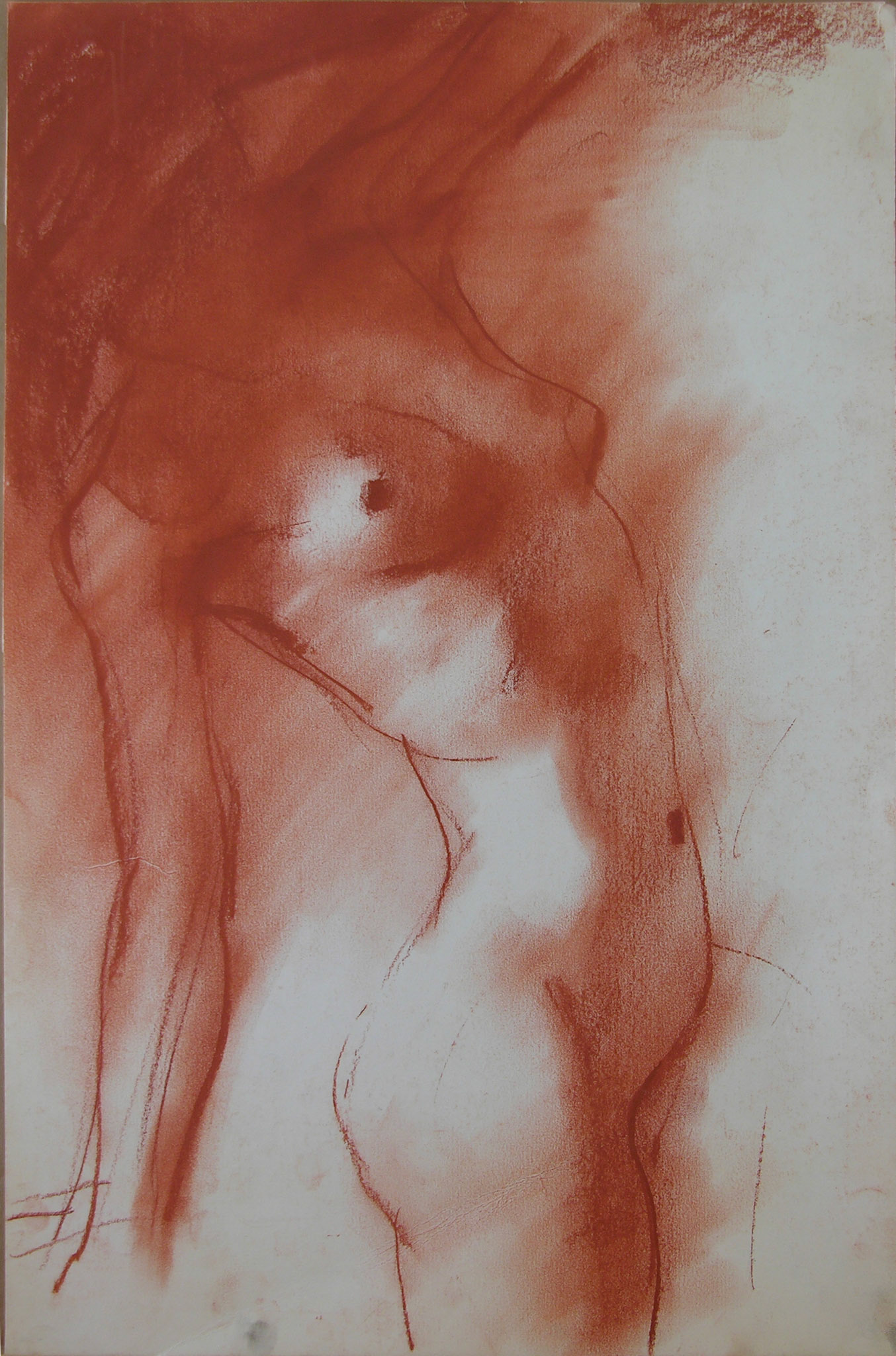 Desnudo, Sanguina/Papel47,5cm x 31,5cm