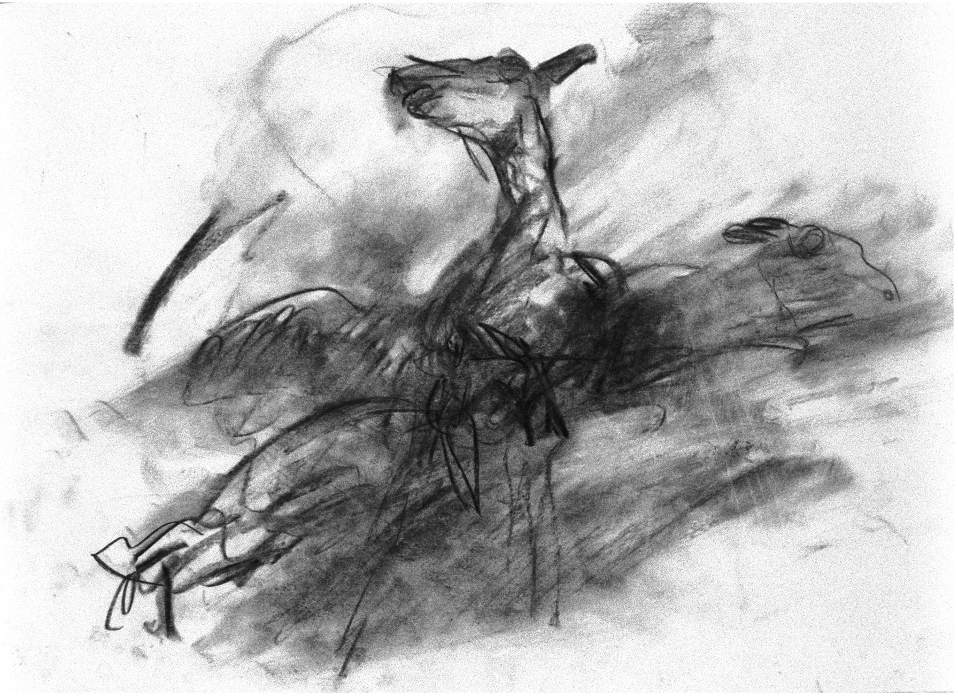 Aguada/papel._ 34,5x49,5cm