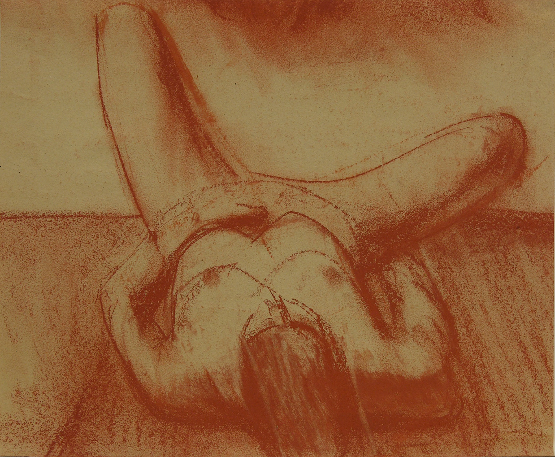 Sanguina/papel._ 32x38cm