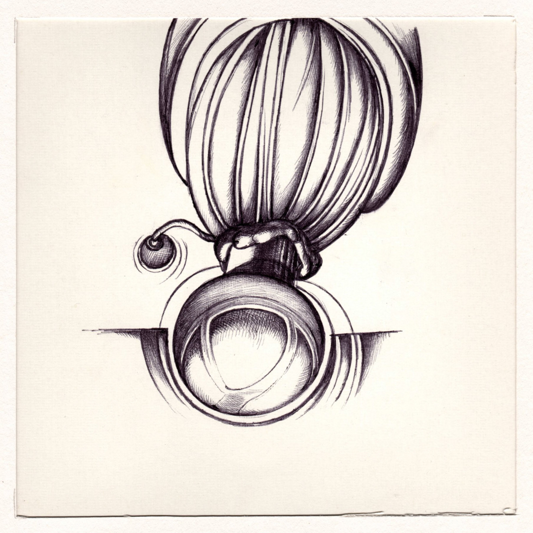 boligrafo/papel._ 14,3 x 14,3 cm