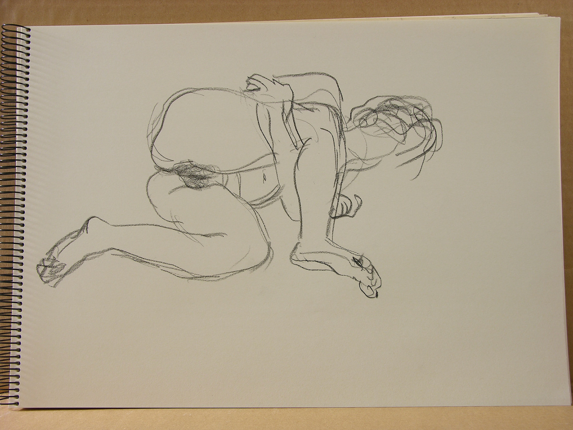 Lápiz/papel.-29,6x41cm