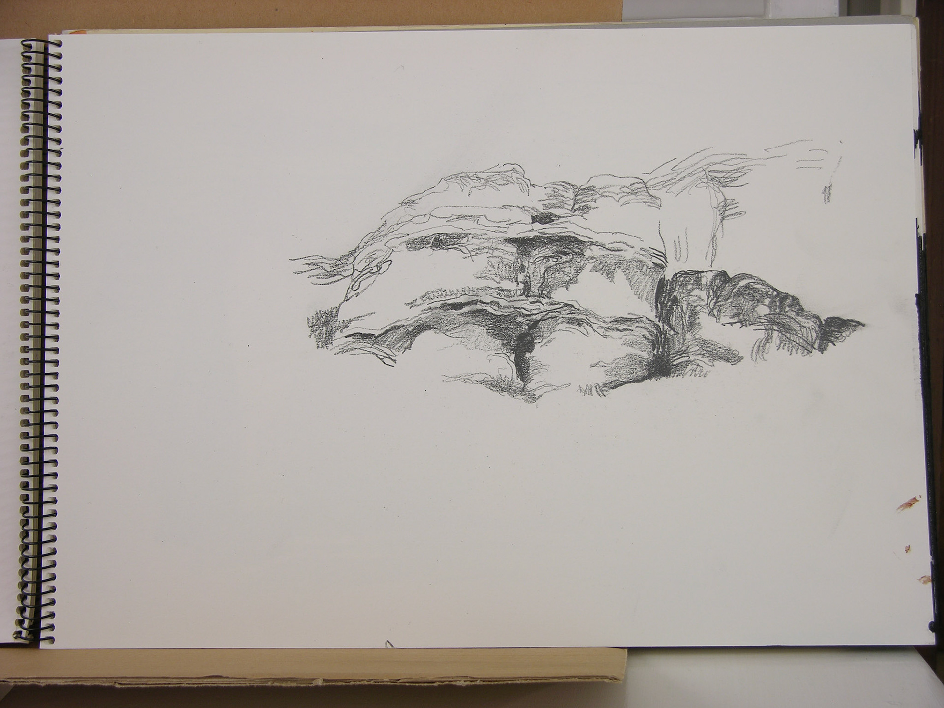 Lápiz/papel.- 42x29,7cm