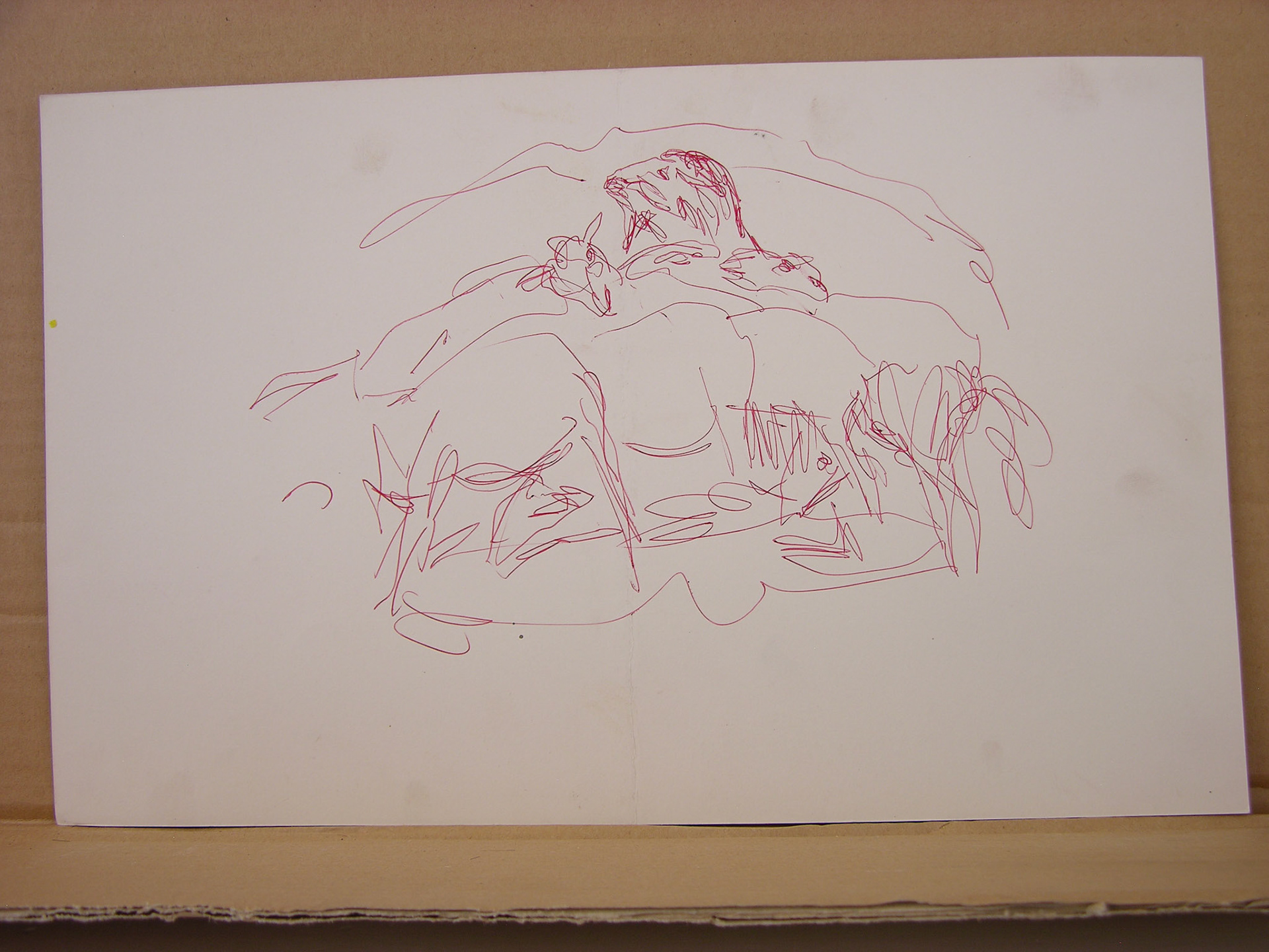 bolígrafo/papel .- 24x37,7