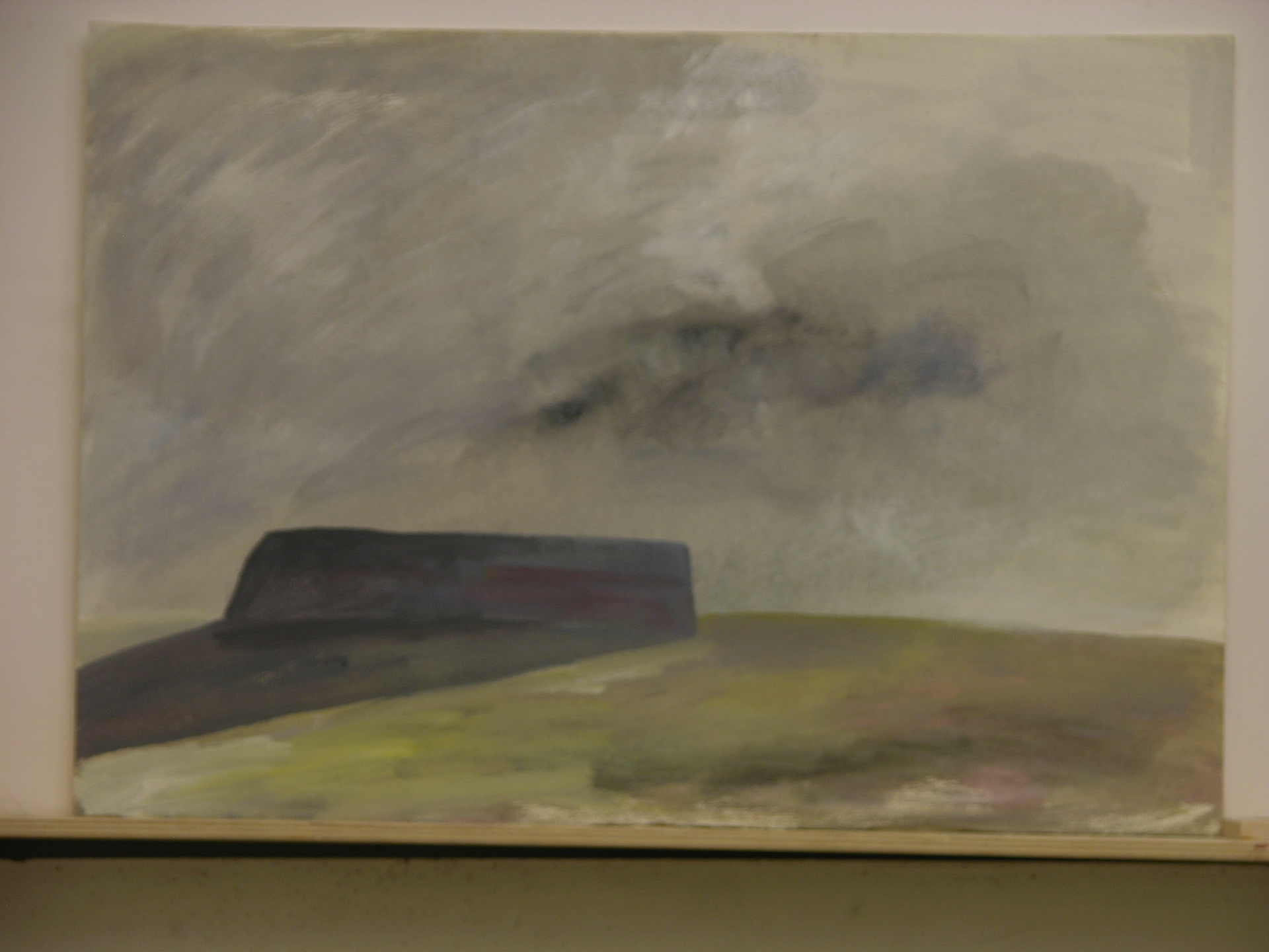 aguada  acrílica/cartulina._34,5x50cm