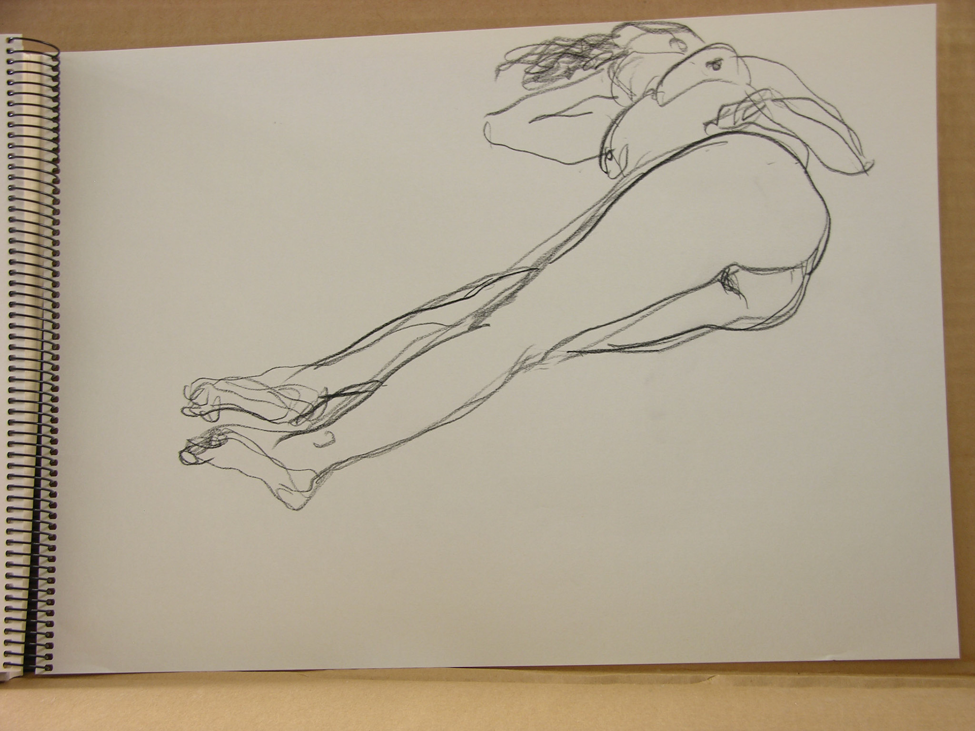 Lápiz/papel.-29,6x41cm