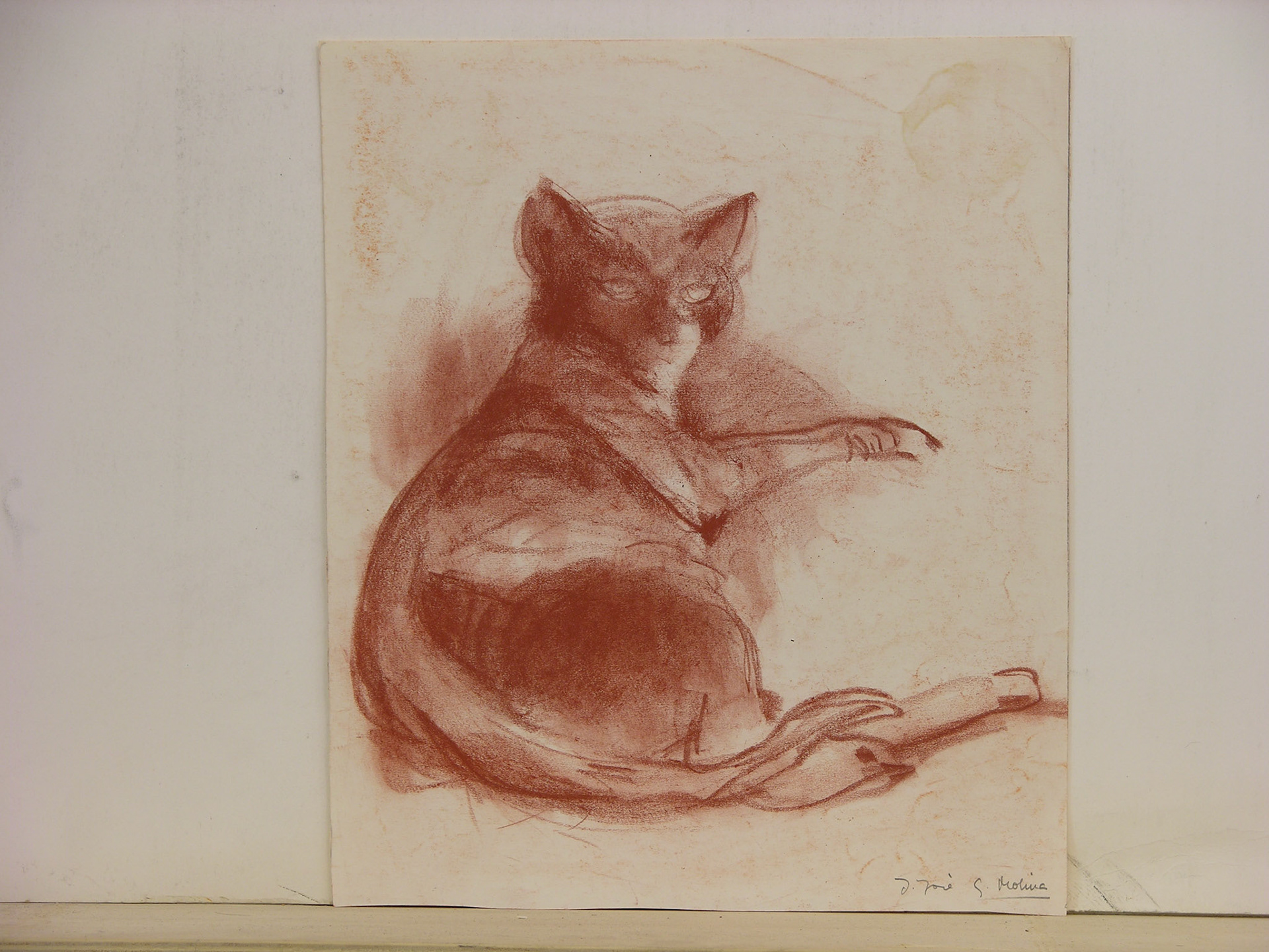 Sanguina/papel._28,5x24cm