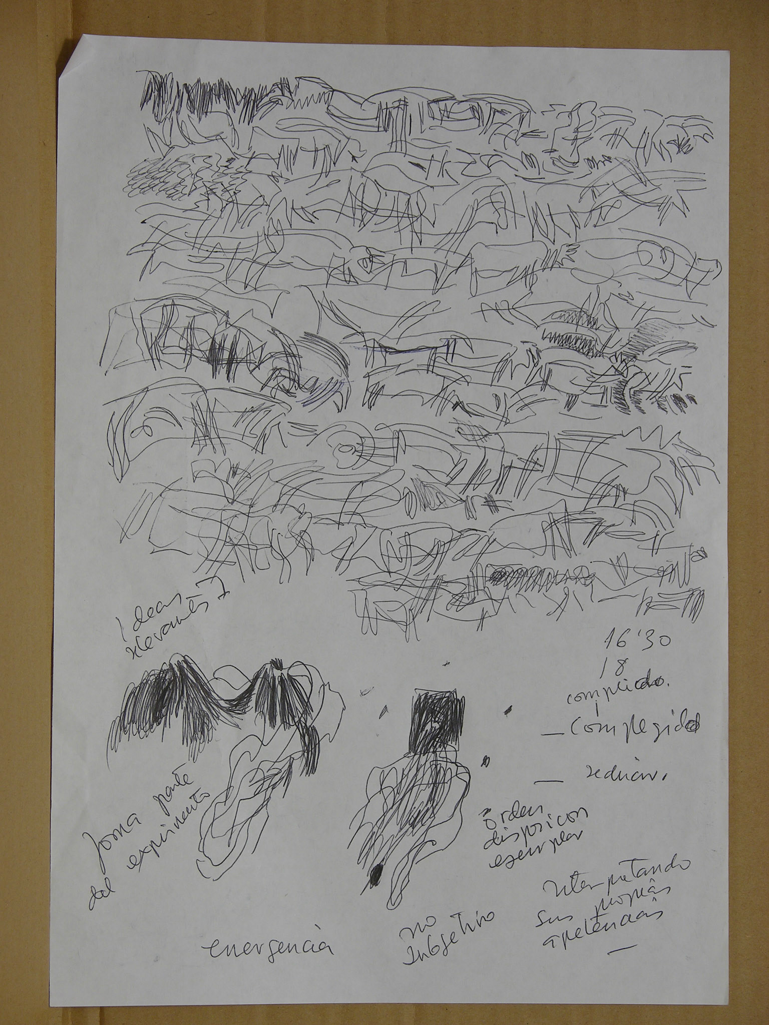 bolígrafo/papel._ 29,7x21cm