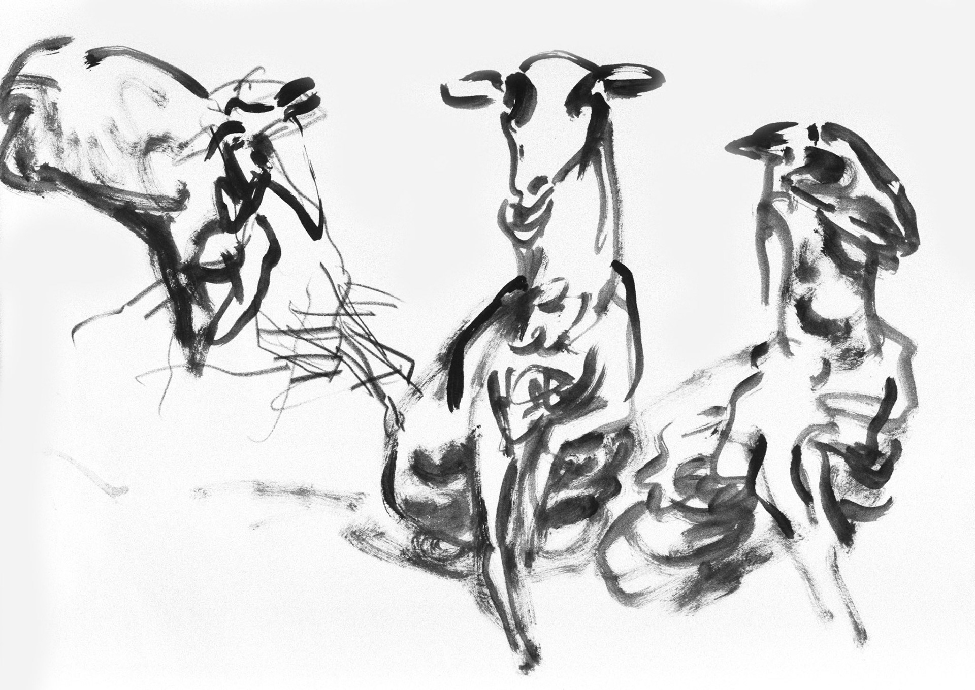 Aguada/papel amarillo.- 60,5x45,5cm