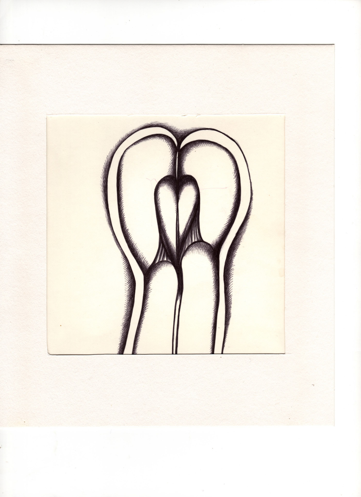 boligrafo/papel._ 14,3 x 14,3 cm