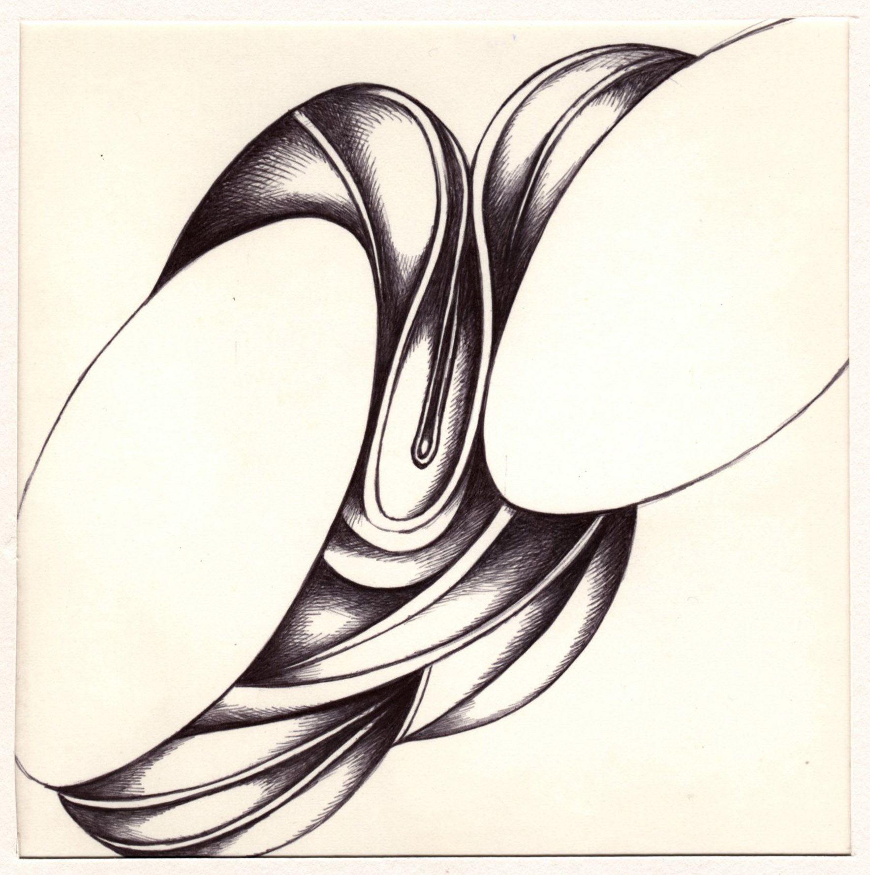 boligrafo/papel._ 14,3 x 14,3 cm