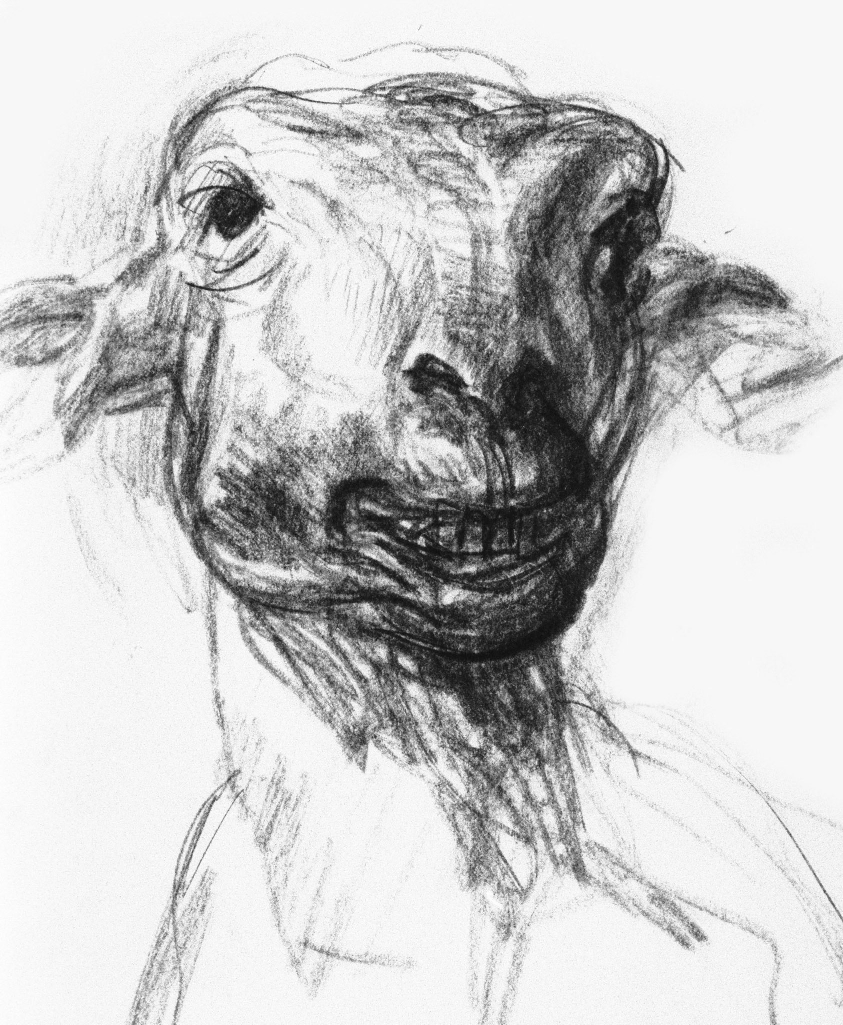 Carboncillo/papel amarillo.-45,5x30cm