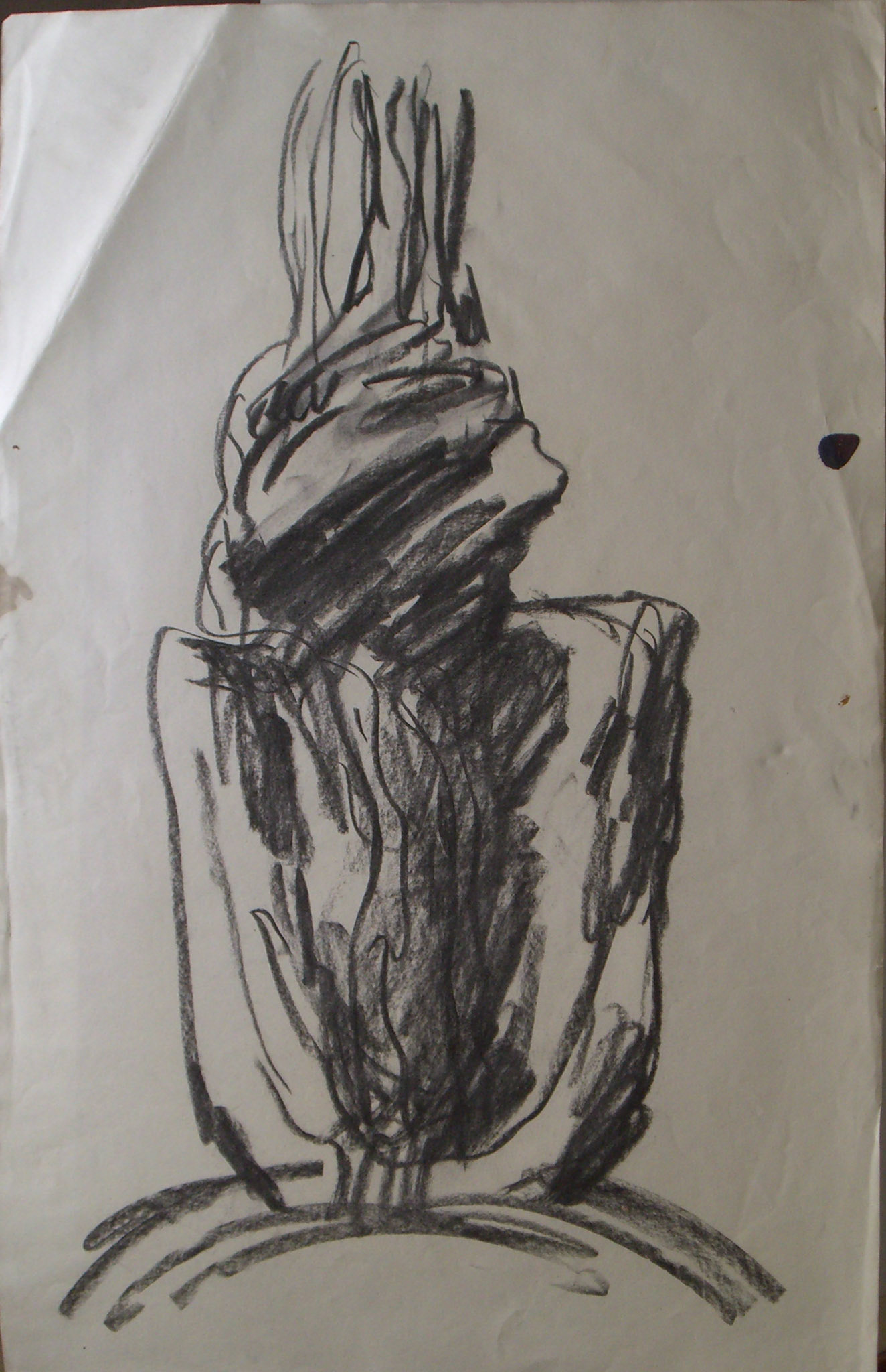 Carboncillo/papel .-70,3x49,5cm