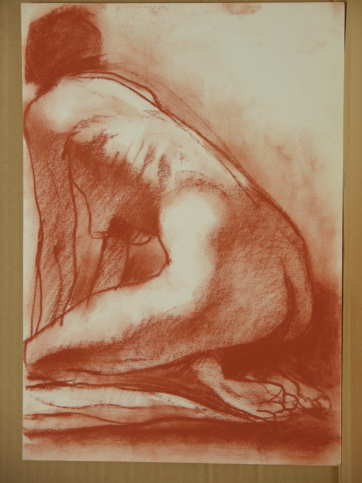 Sanguina/papel._34,3x24cm