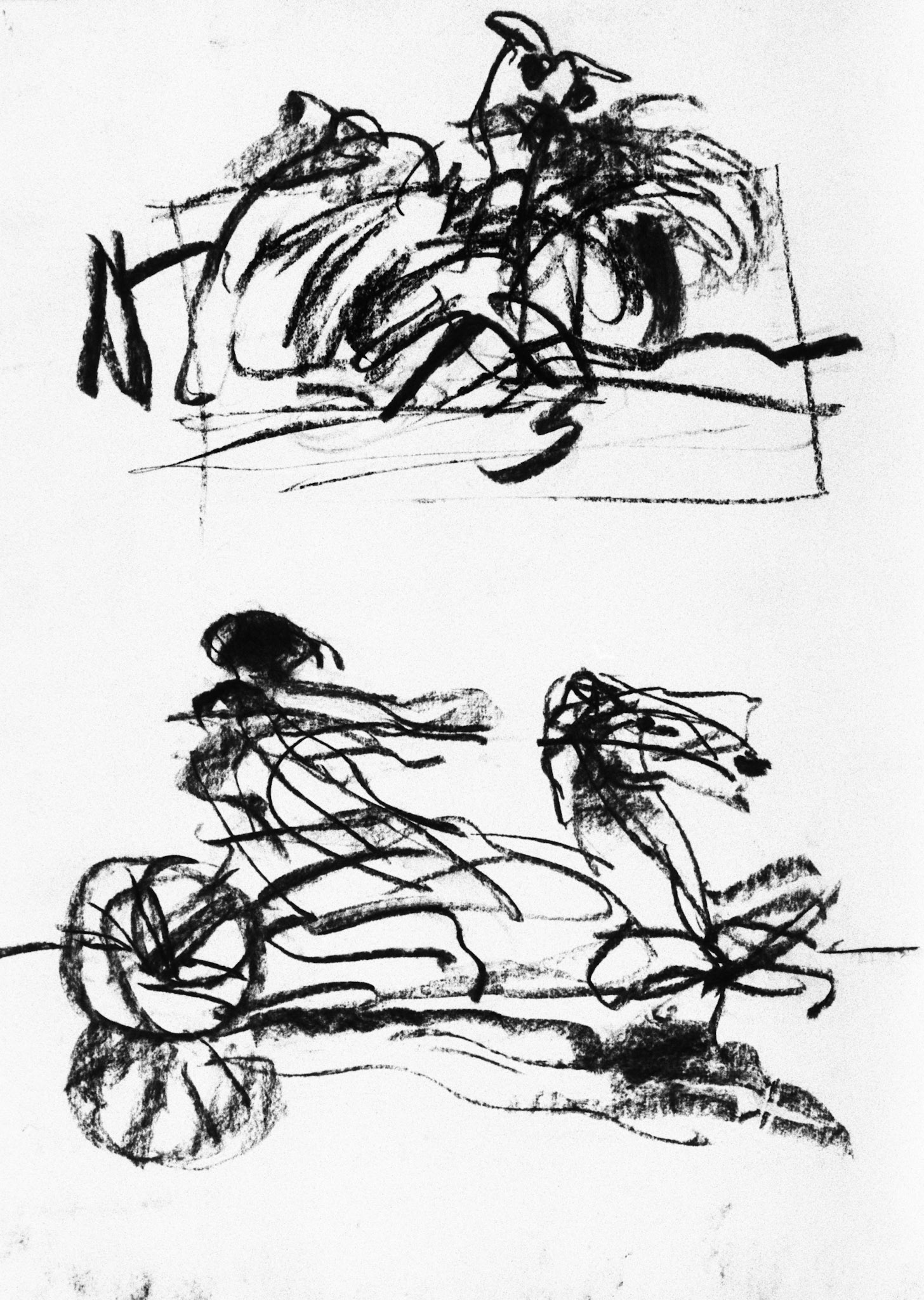 Carboncillo/papel.-50x35cm